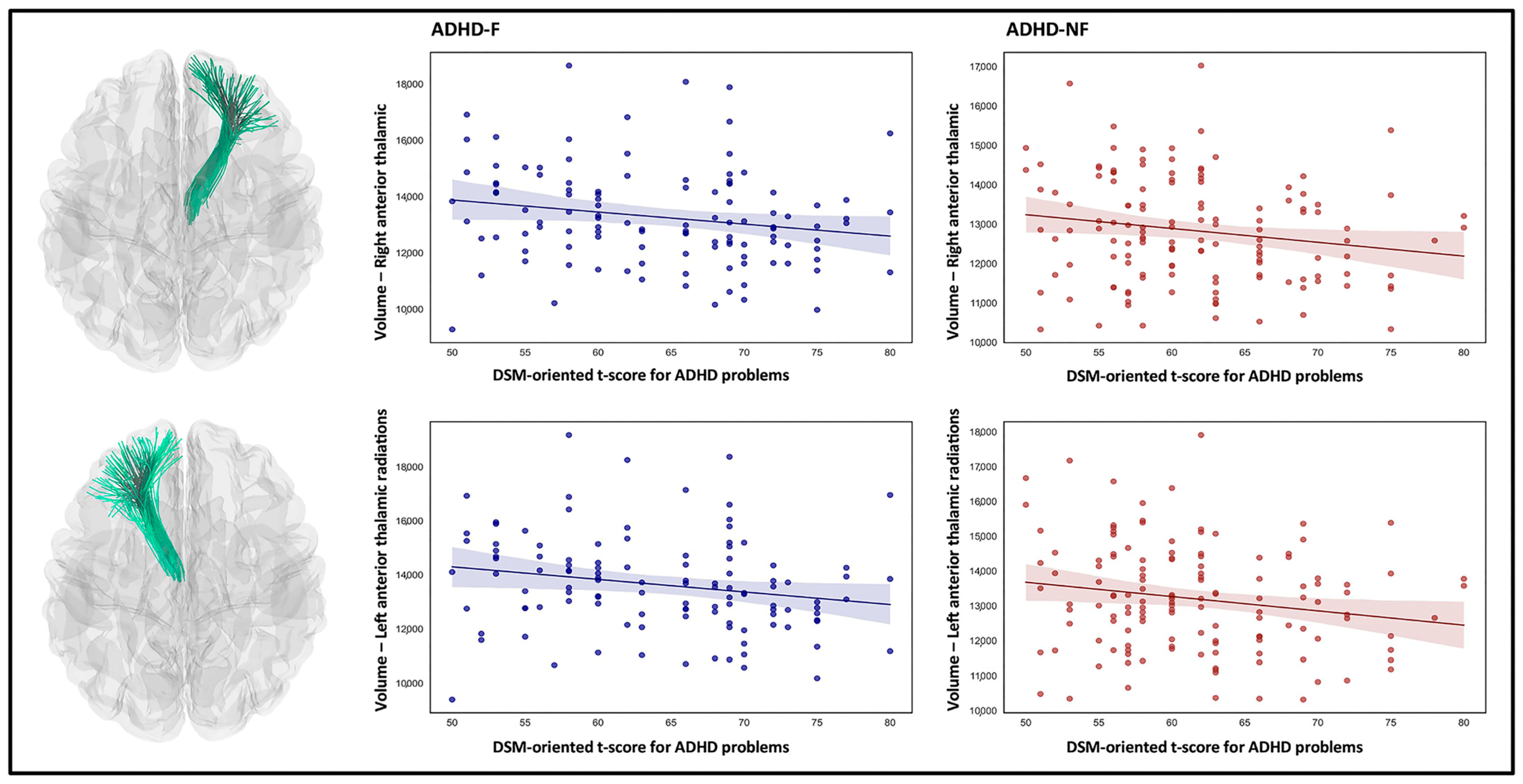 Biomedicines 13 00676 g004