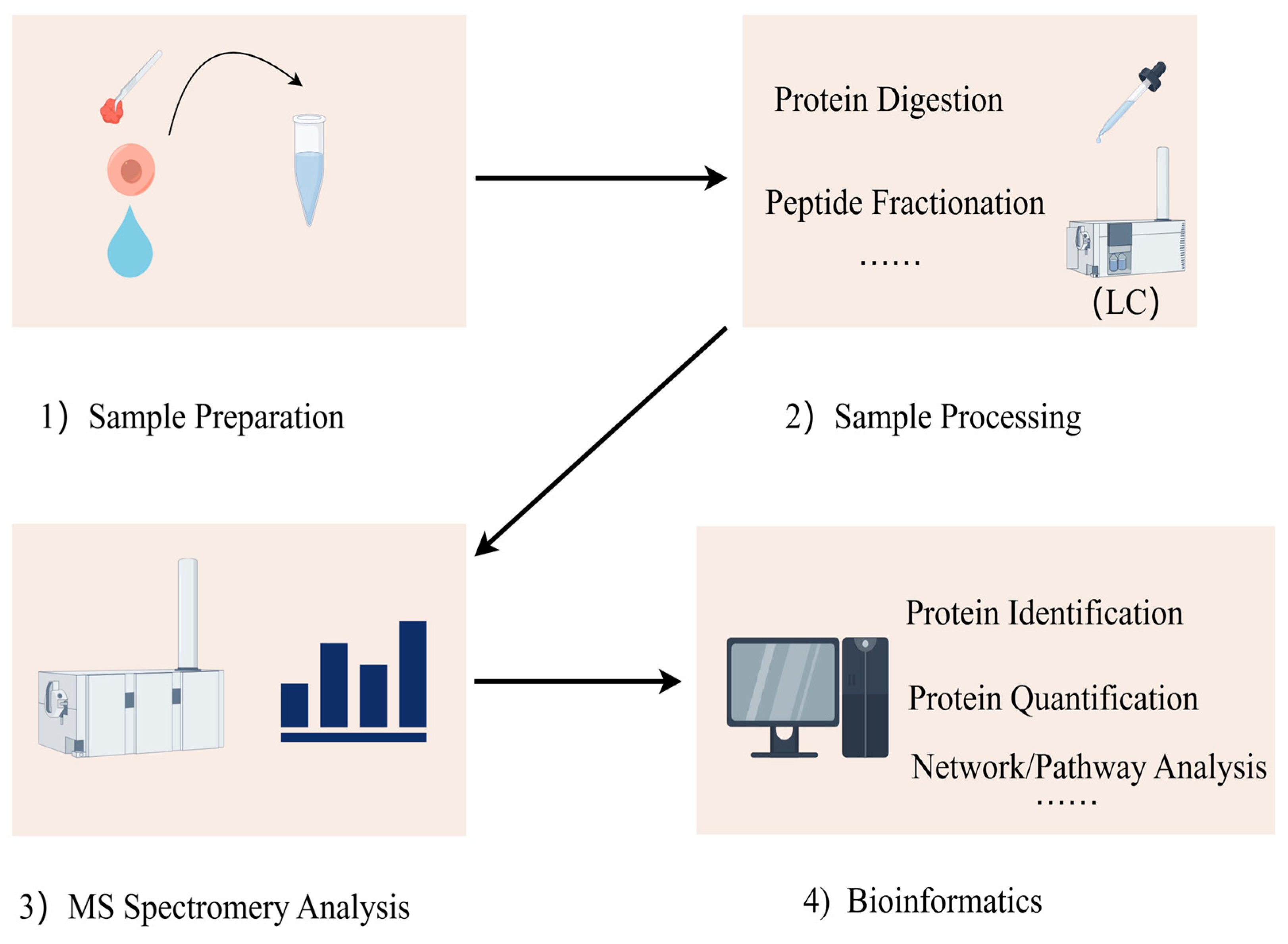Biomedicines 13 00681 g001