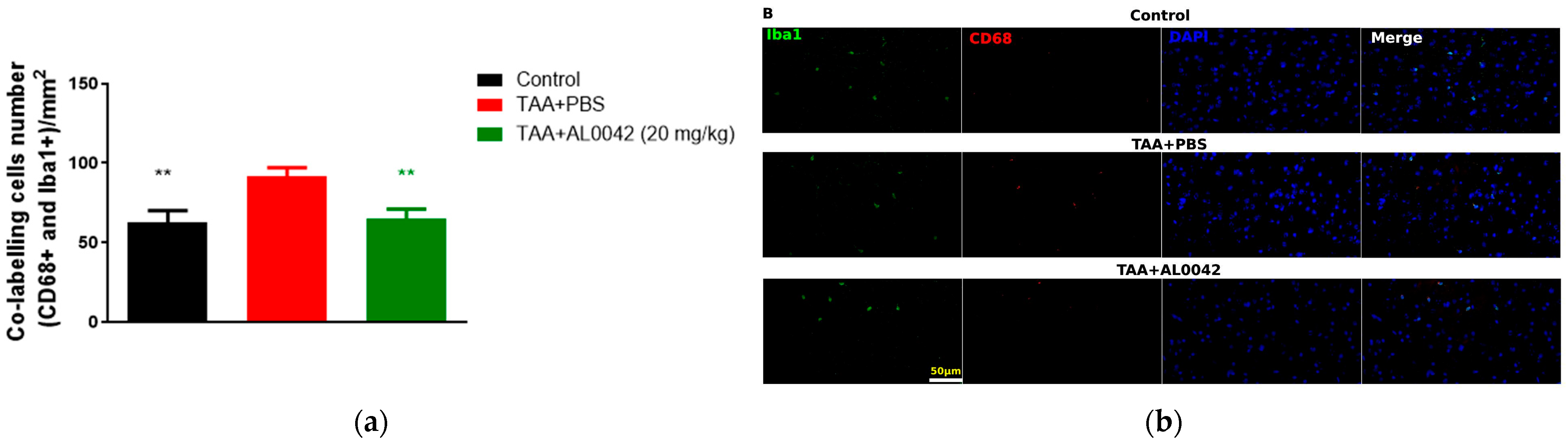 Biomedicines 13 00686 g005 Biomedicines 13 00686 g005