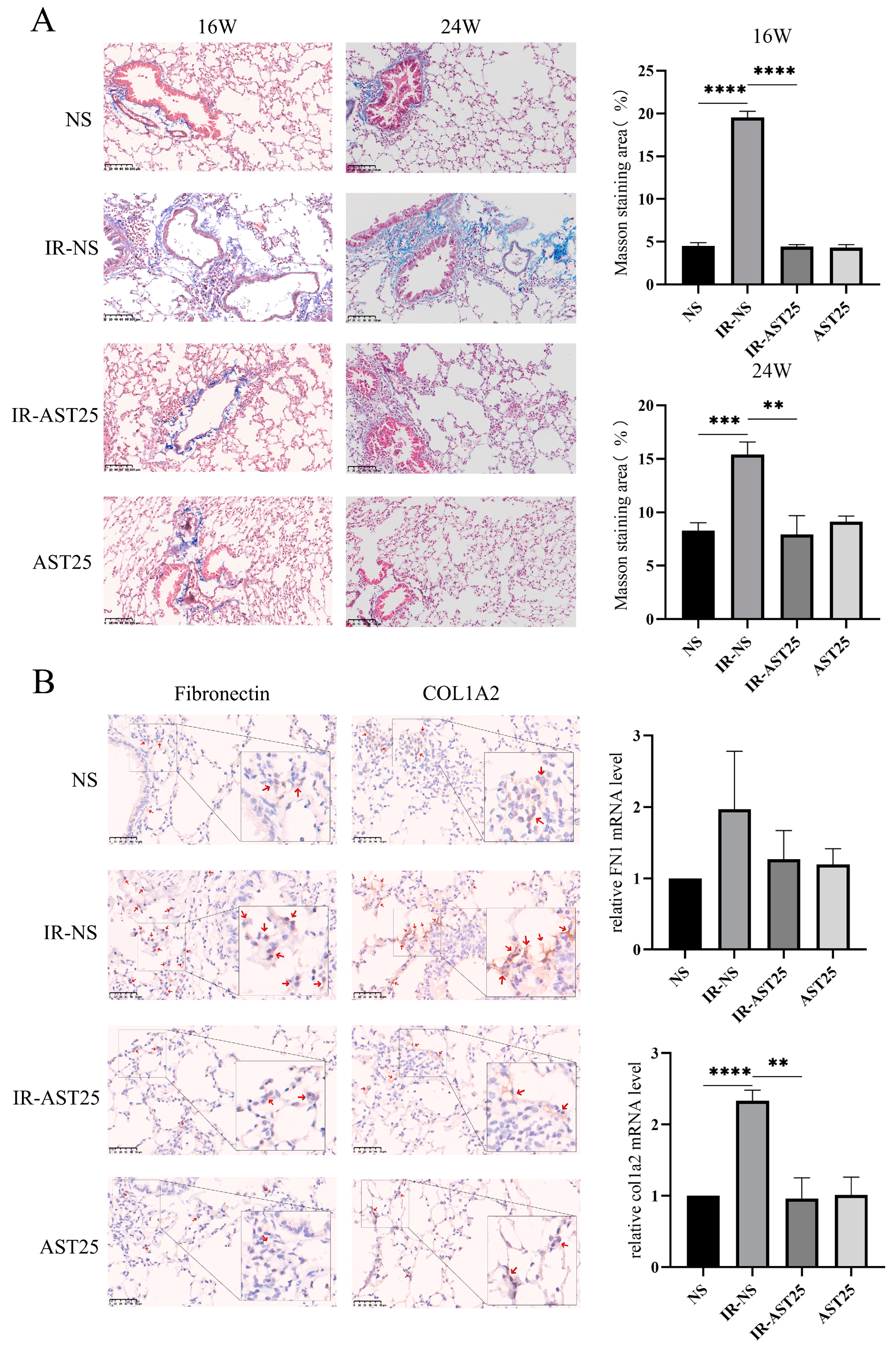 Biomedicines 13 00689 g003