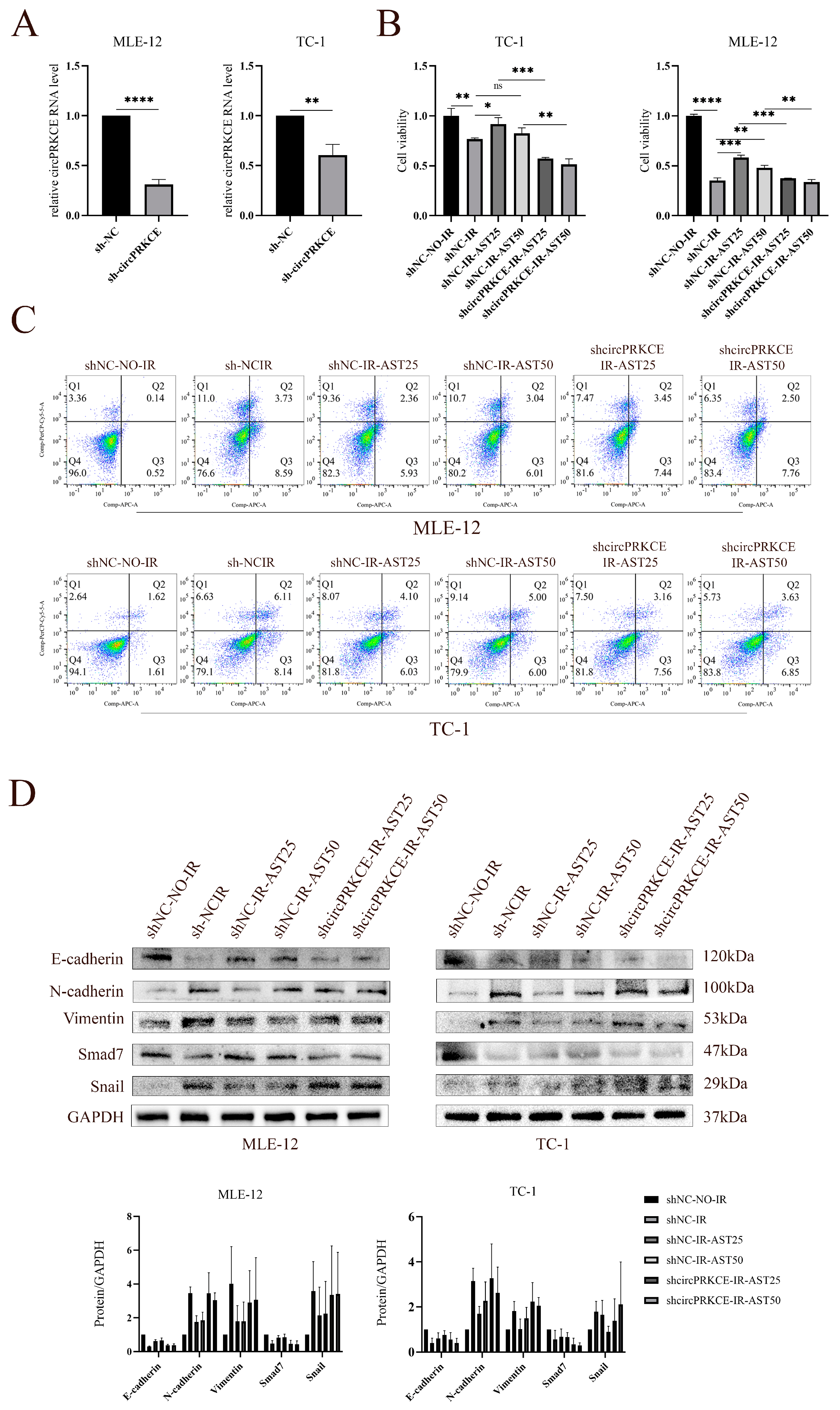 Biomedicines 13 00689 g007