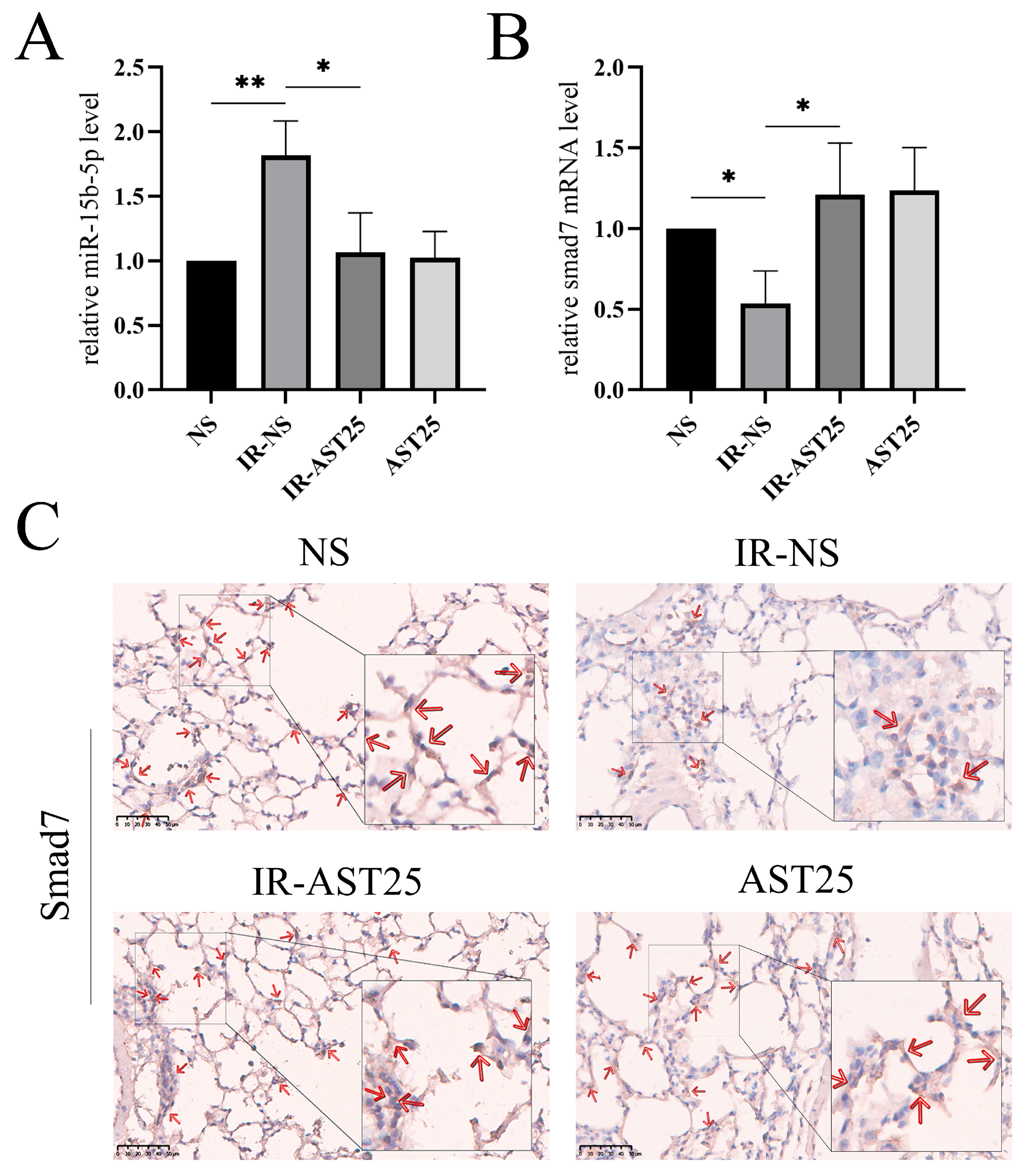 Biomedicines 13 00689 g009