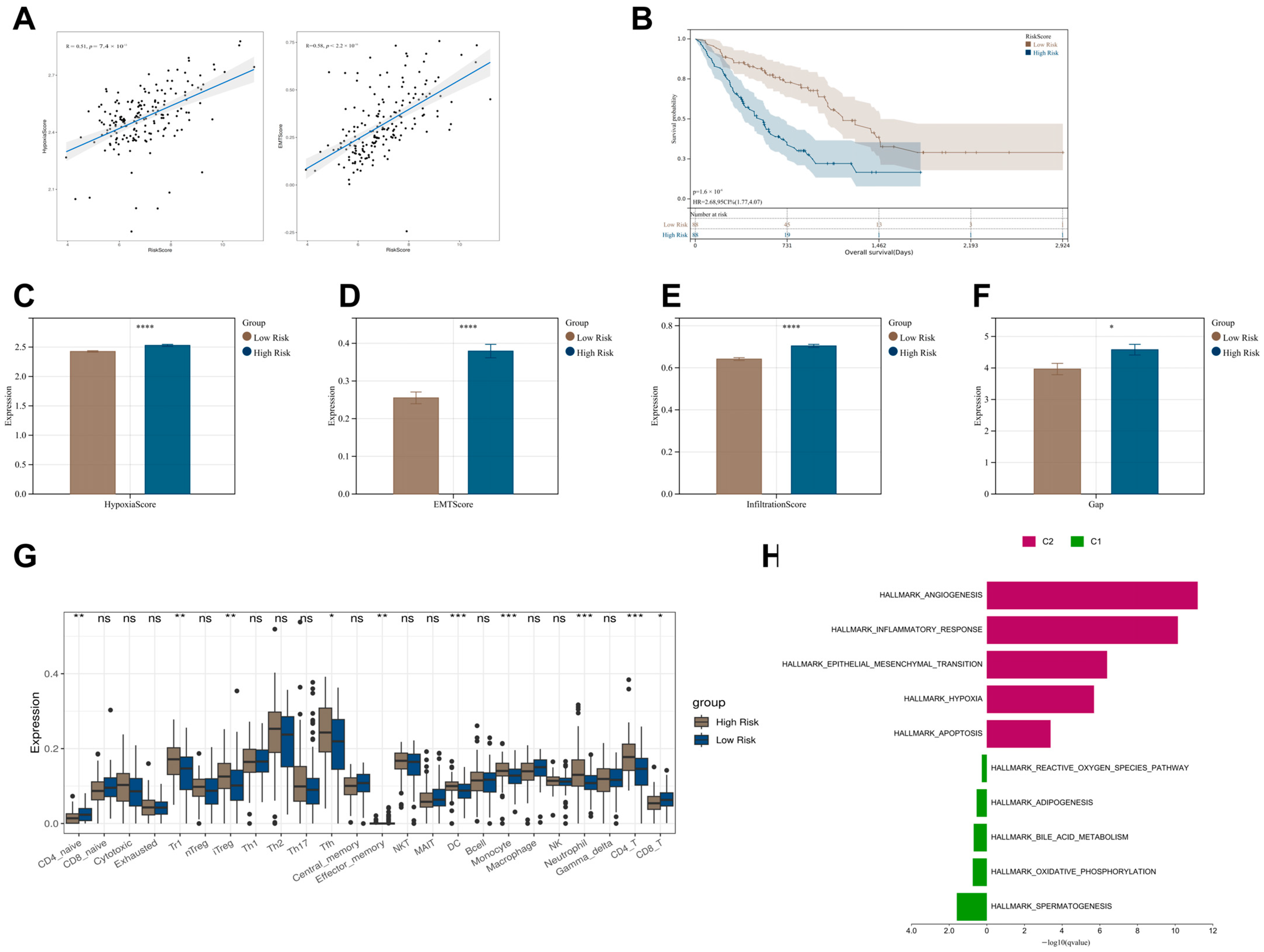 Biomedicines 13 00690 g004