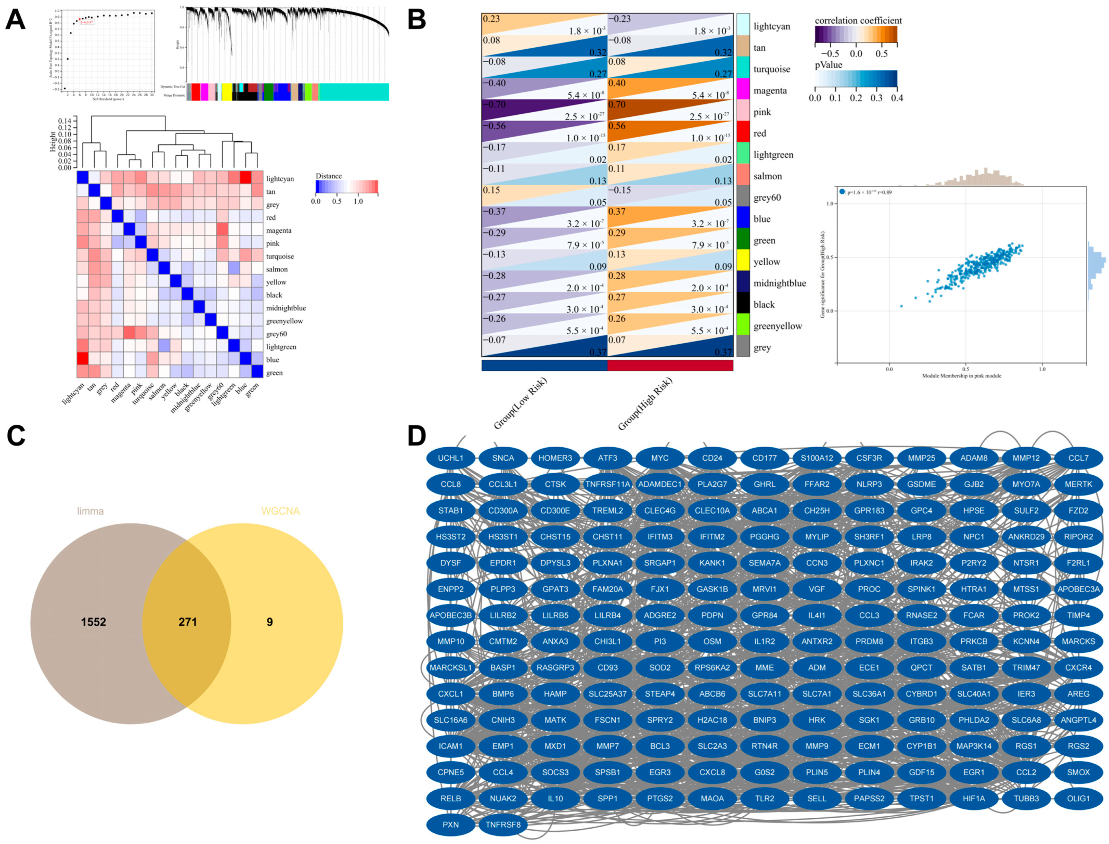 Biomedicines 13 00690 g007