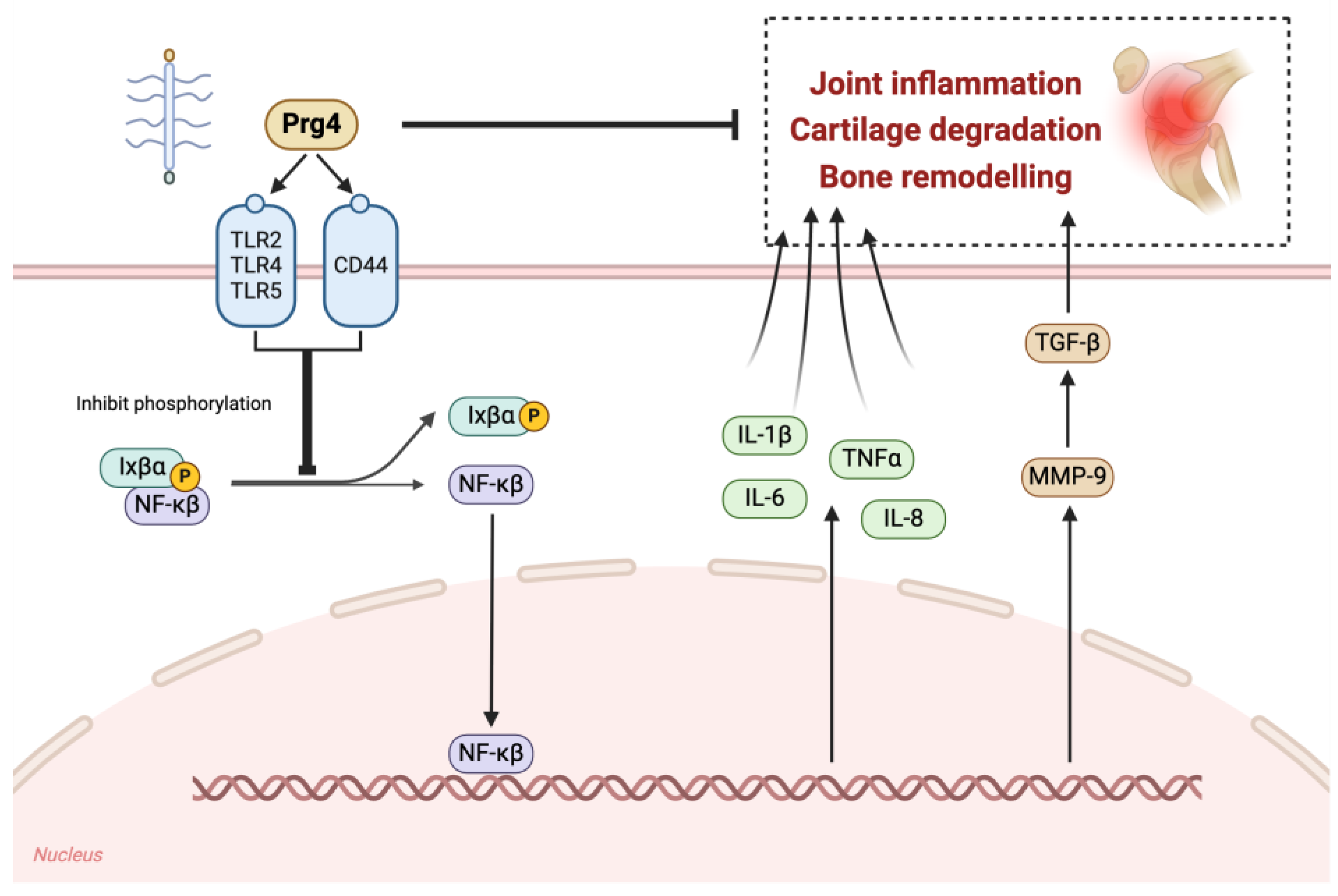 Biomedicines 13 00693 g002