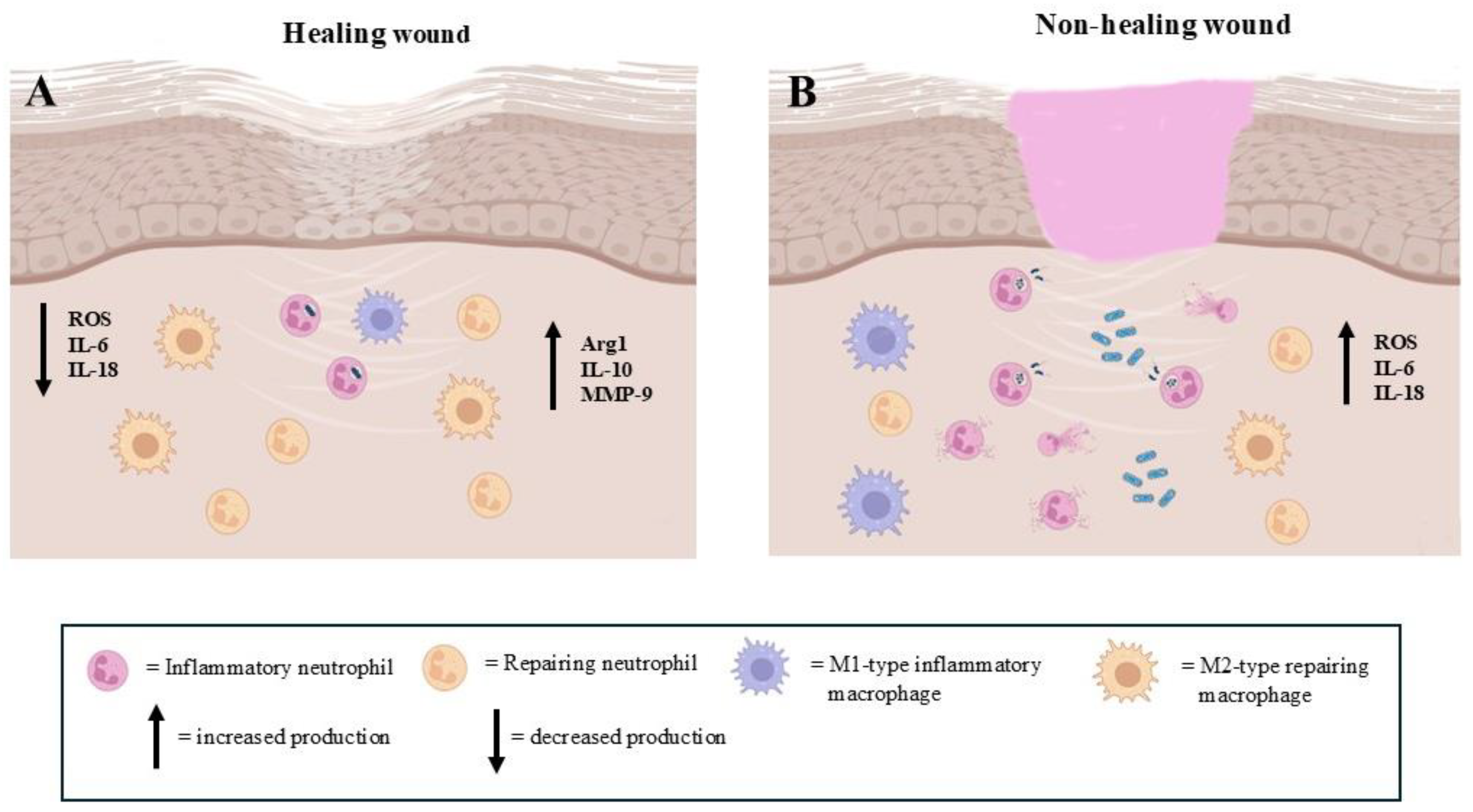 Biomedicines 13 00694 g003
