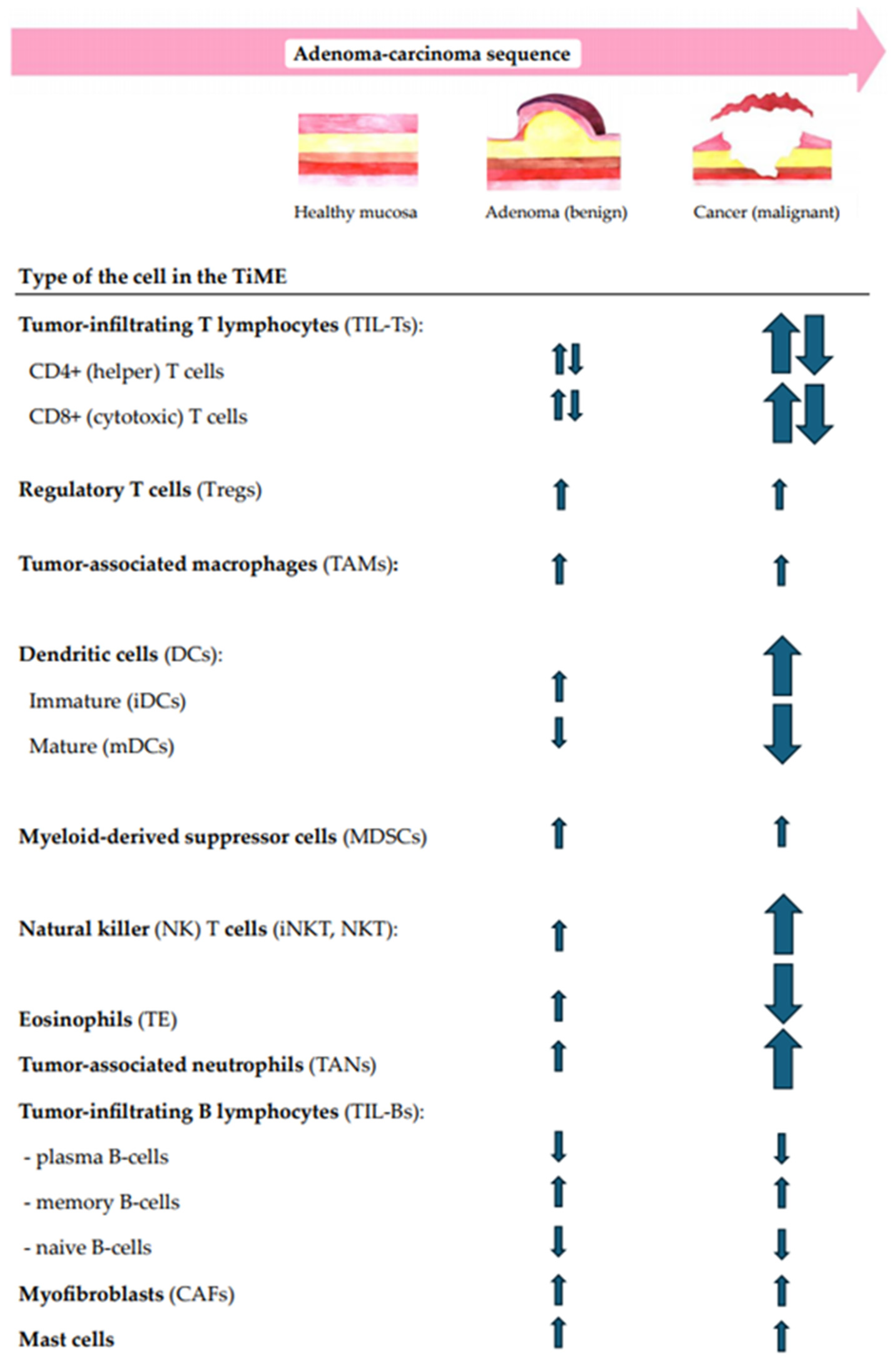 Biomedicines 13 00699 g002