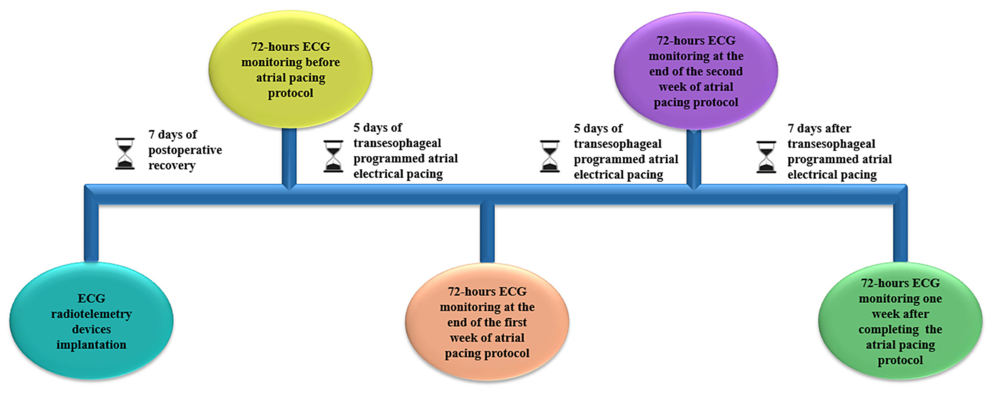 Biomedicines 13 00704 g002