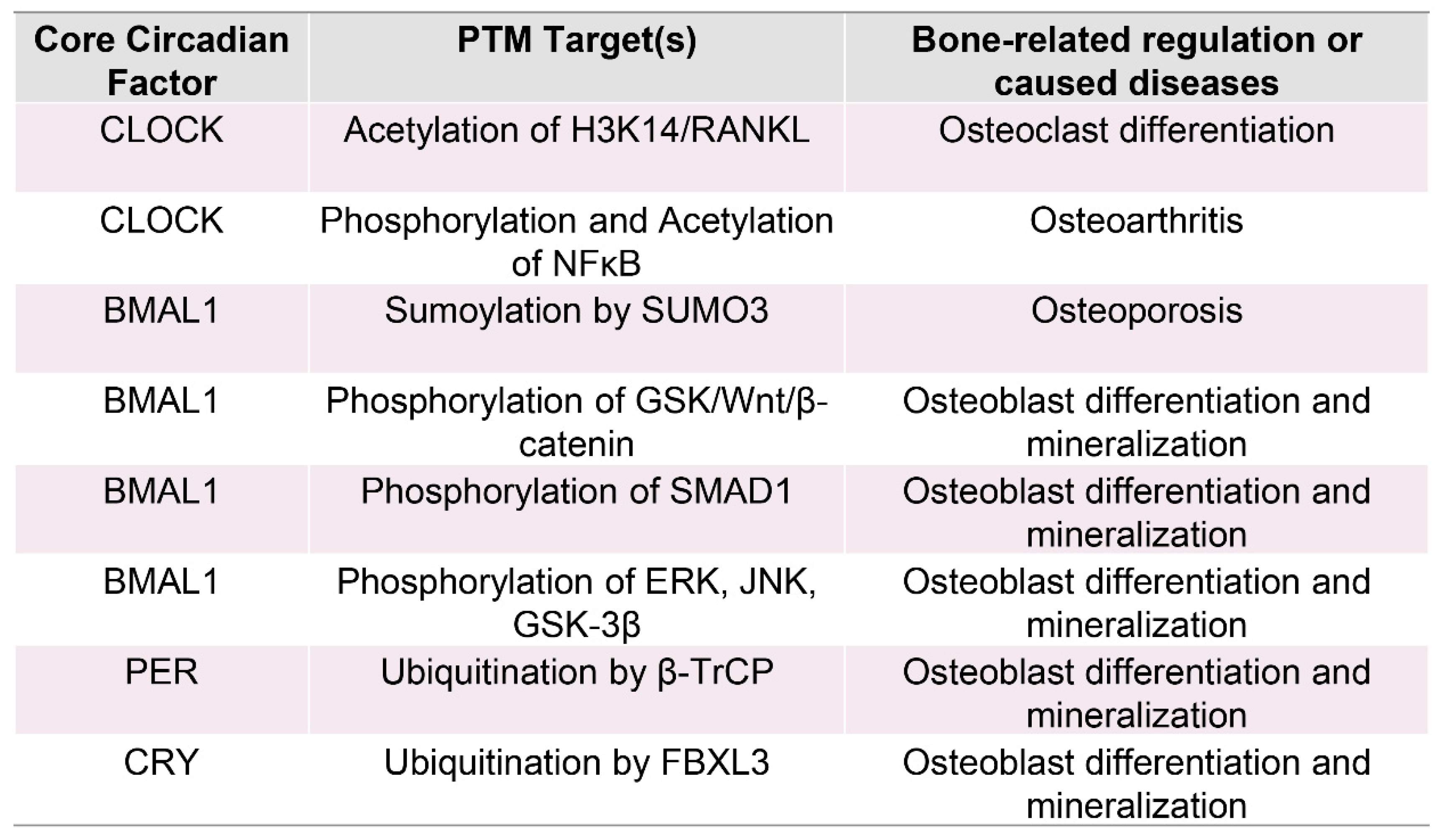 Biomedicines 13 00705 g004