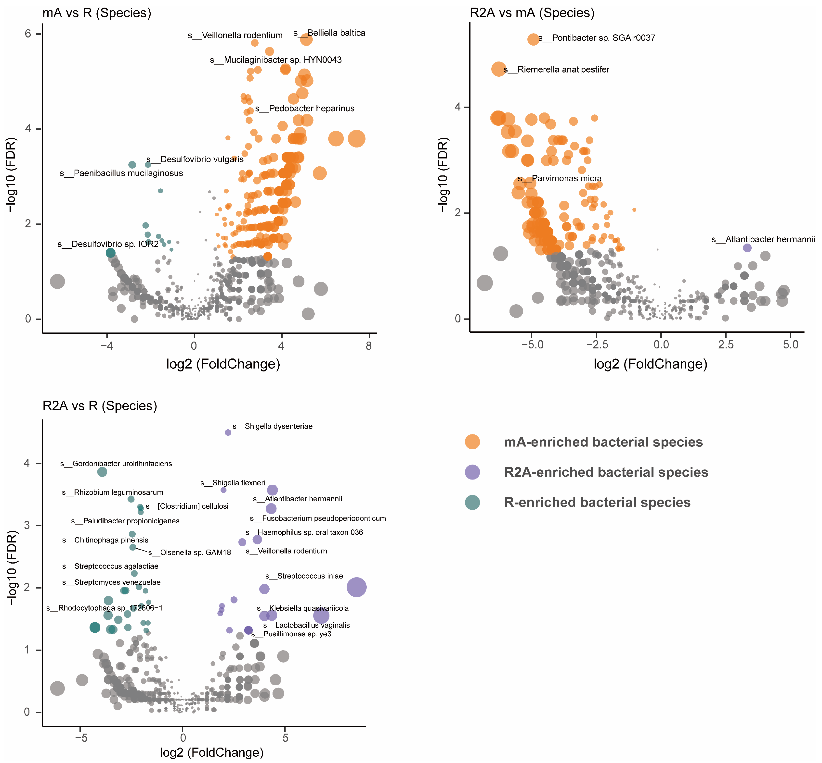 Biomedicines 13 00708 g003