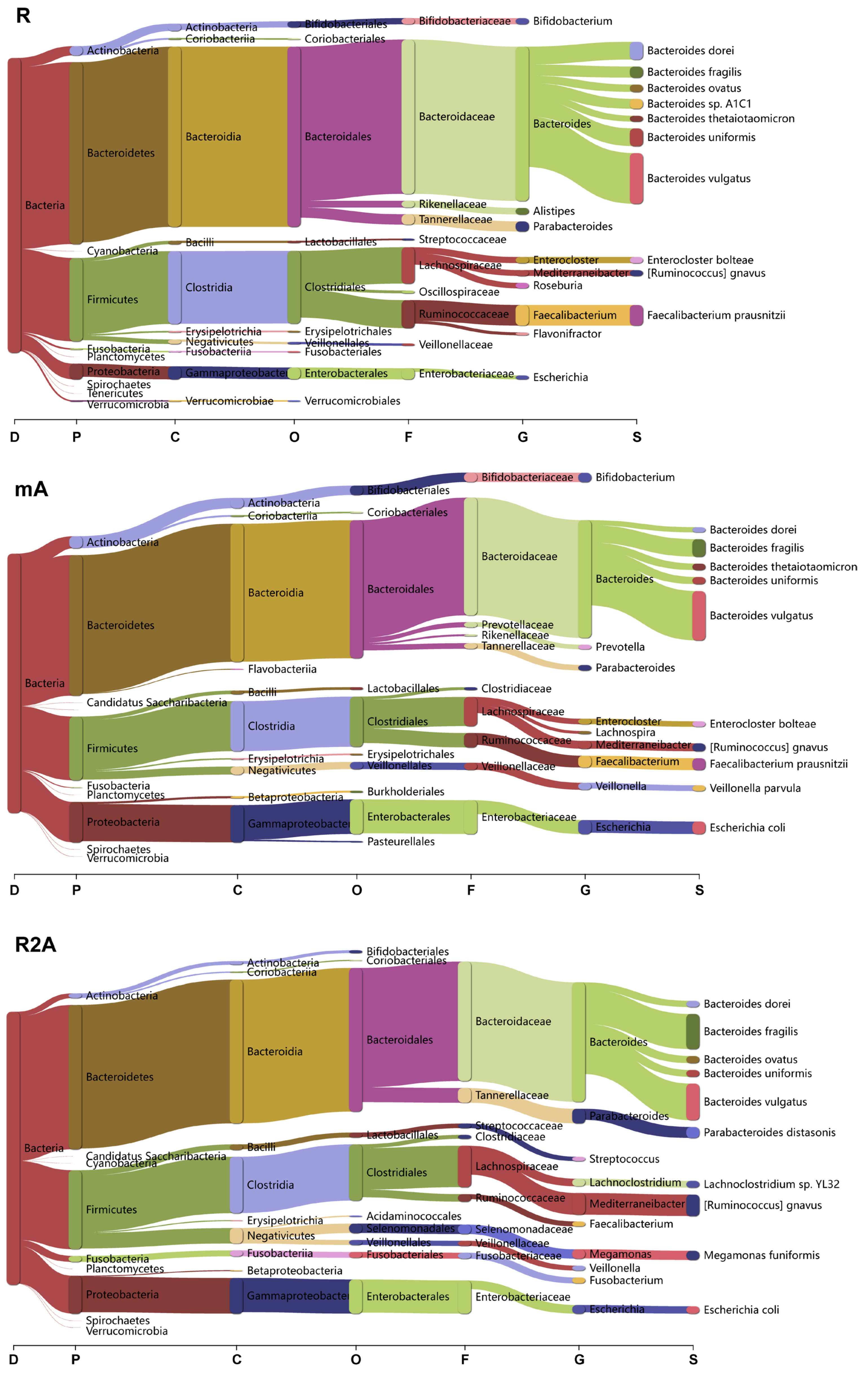 Biomedicines 13 00708 g004