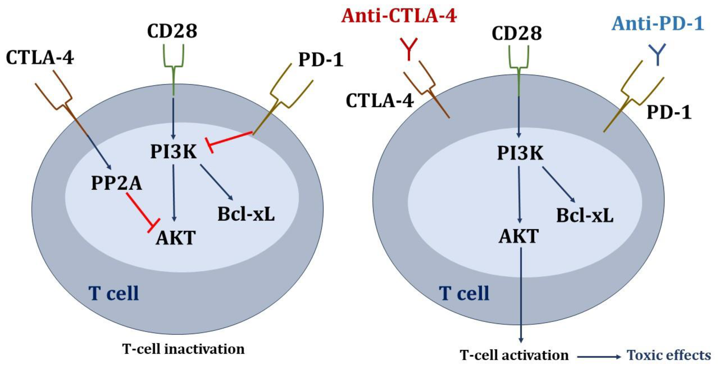 Biomedicines 13 00711 g002