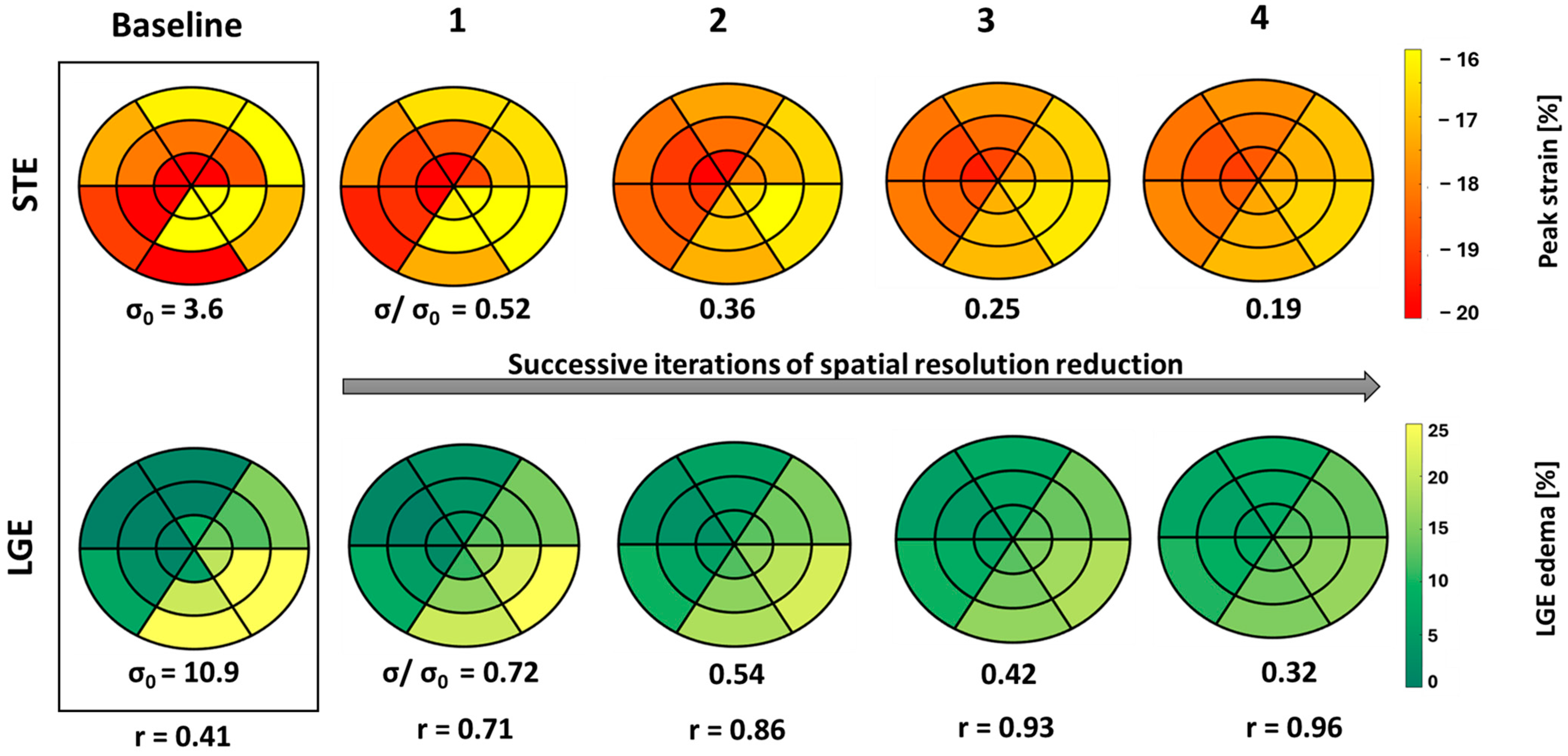 Biomedicines 13 00712 g005