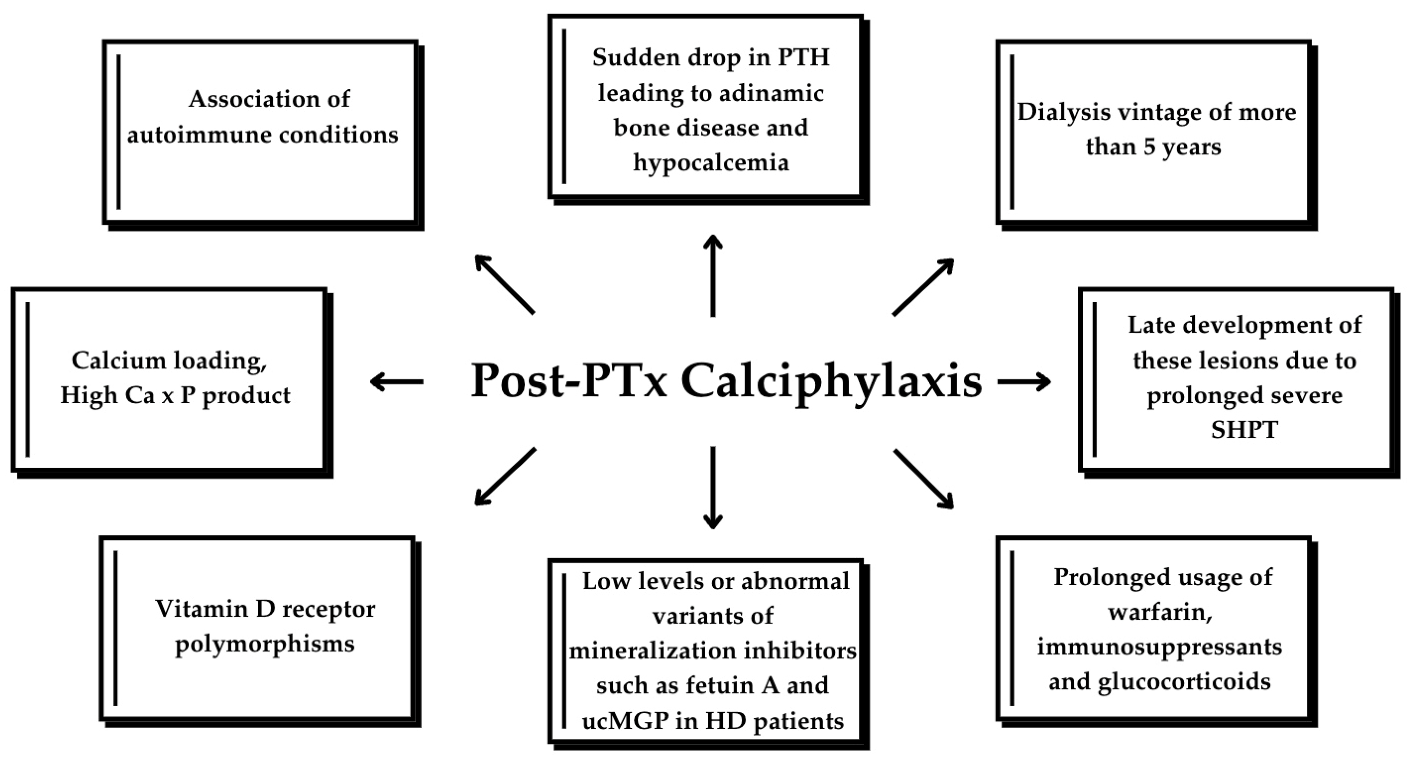 Biomedicines 13 00715 g005
