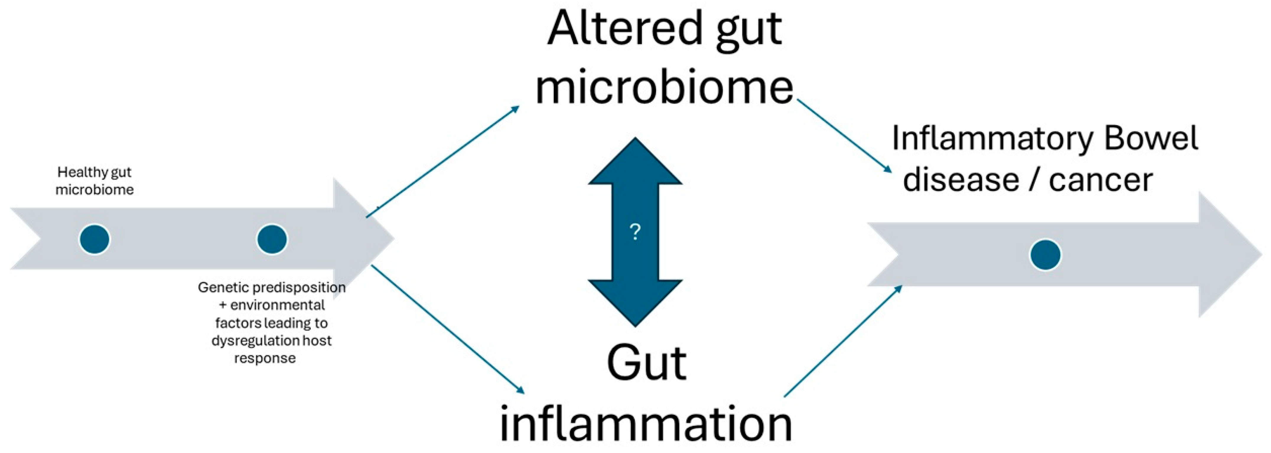 Biomedicines 13 00716 g002