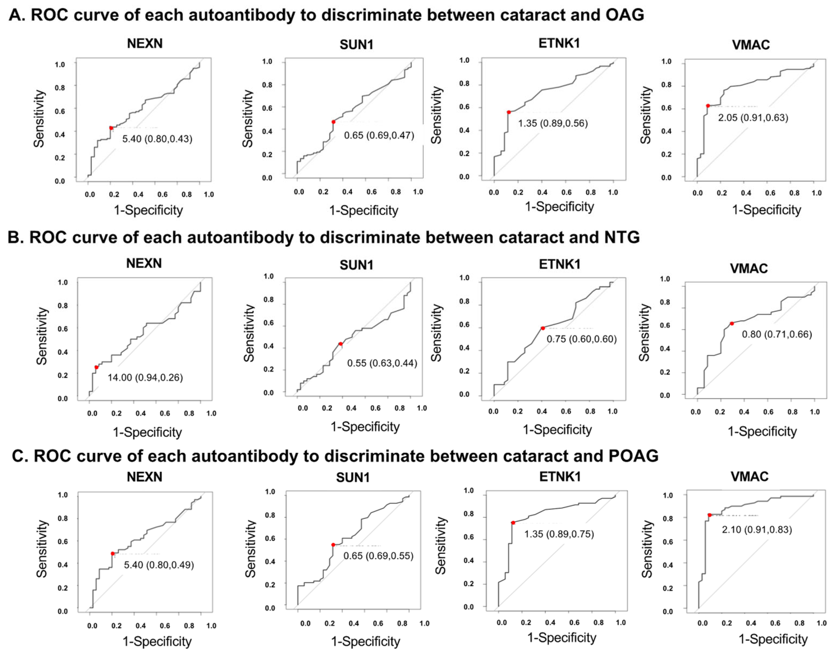 Biomedicines 13 00718 g004