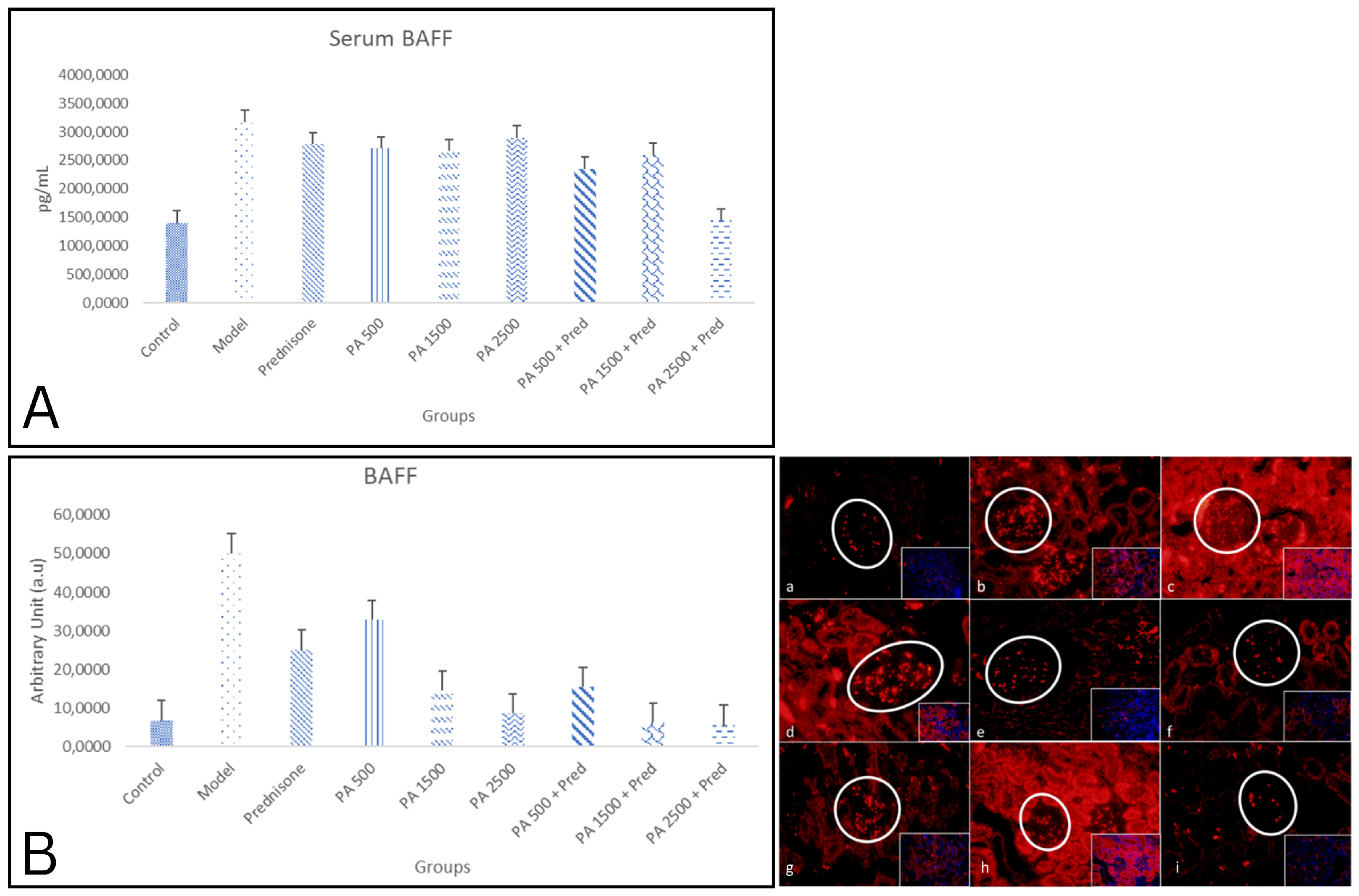 Biomedicines 13 00719 g001