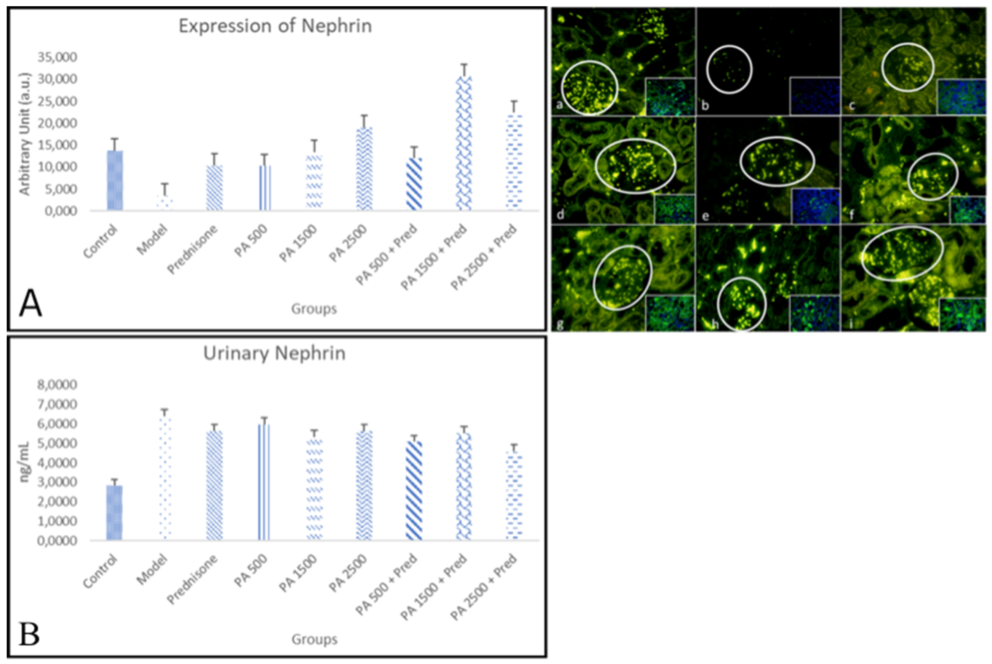 Biomedicines 13 00719 g004