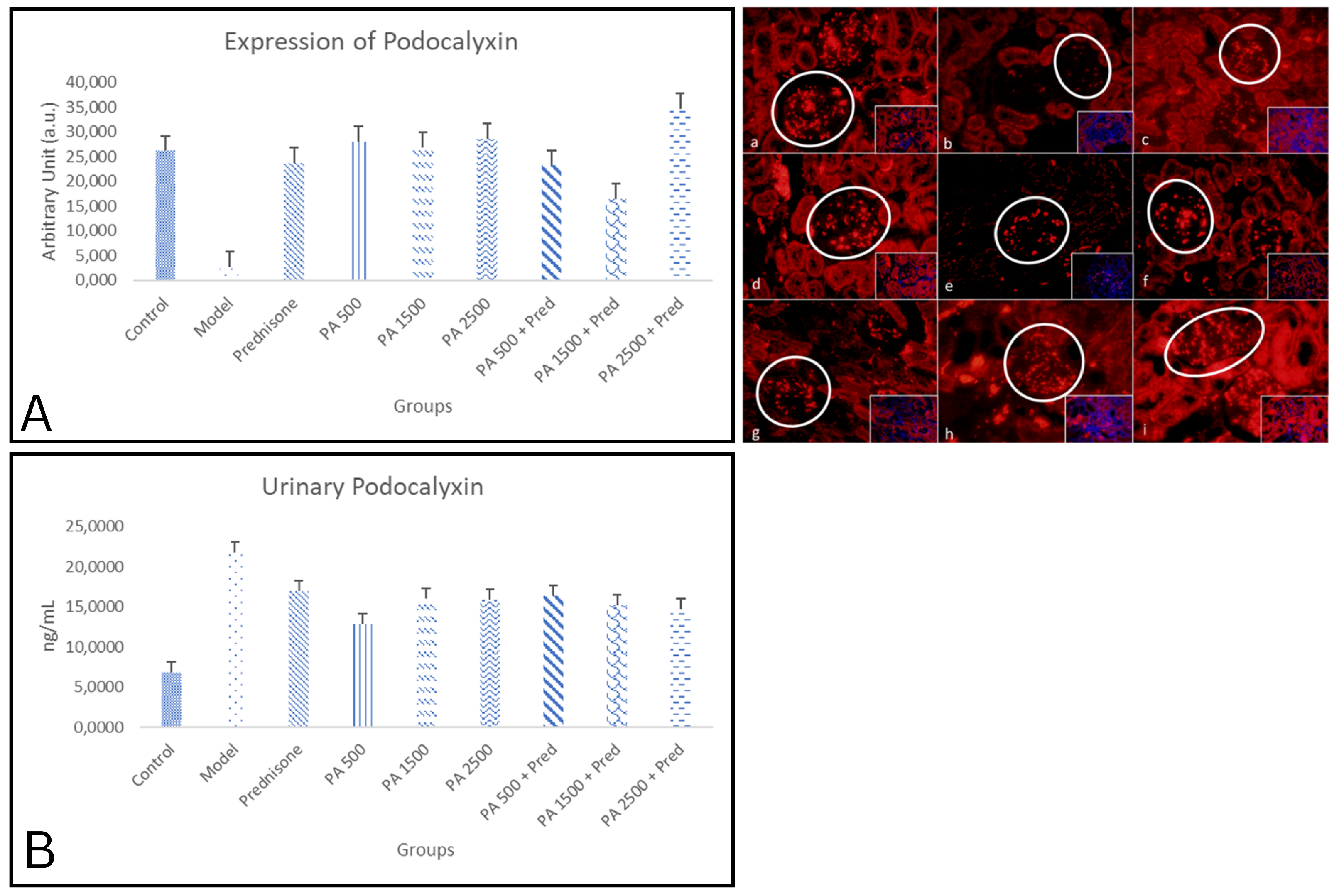Biomedicines 13 00719 g005