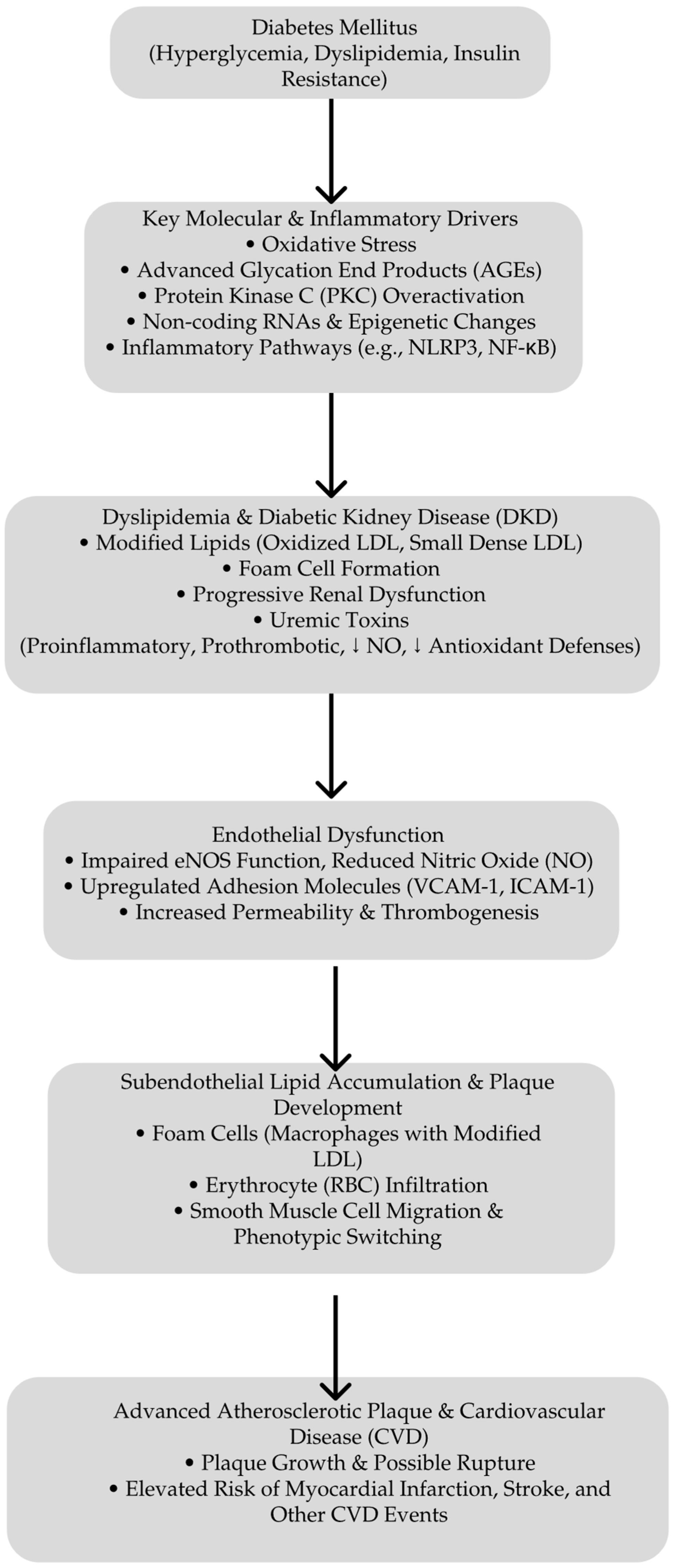 Biomedicines 13 00728 g001