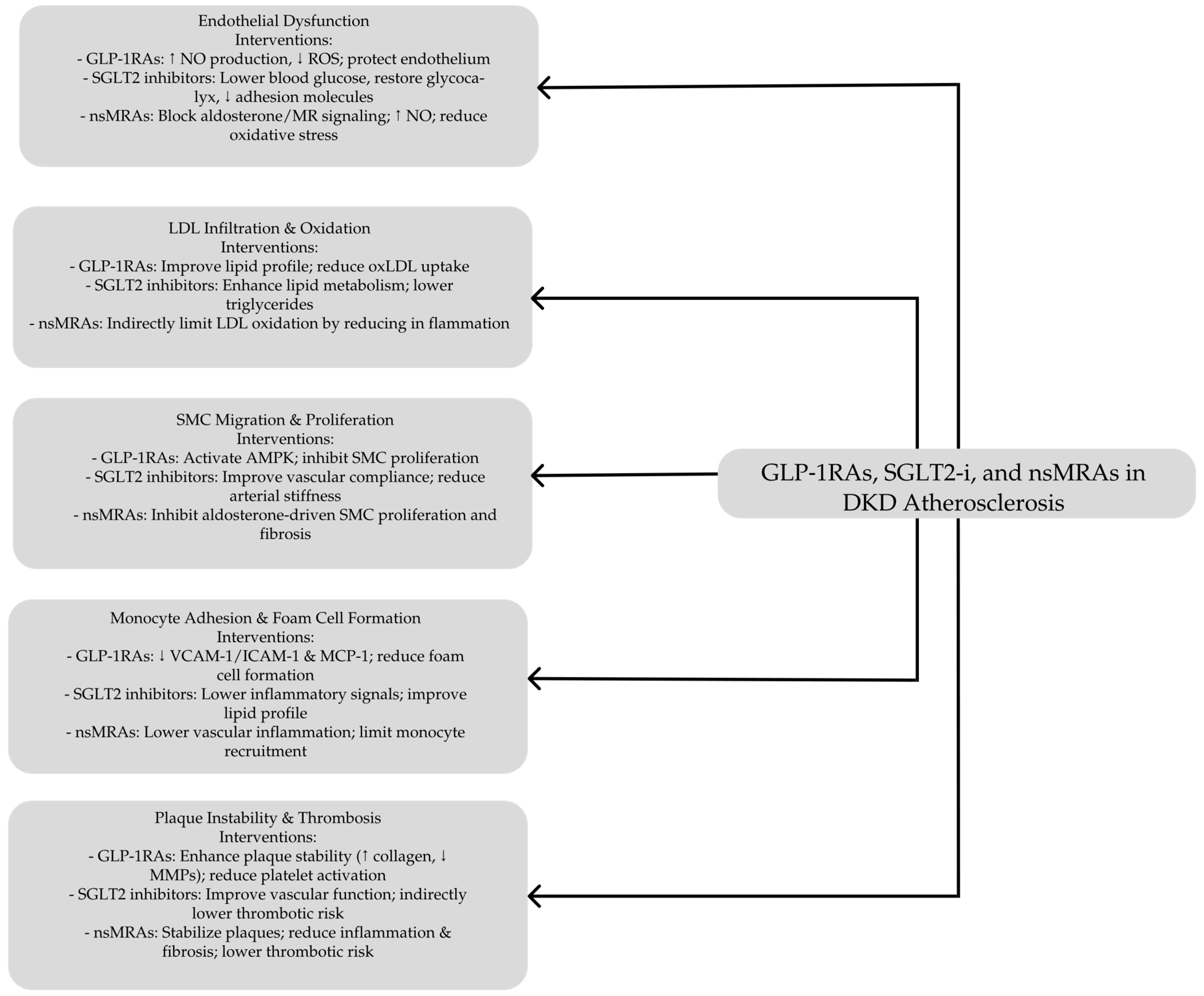 Biomedicines 13 00728 g002