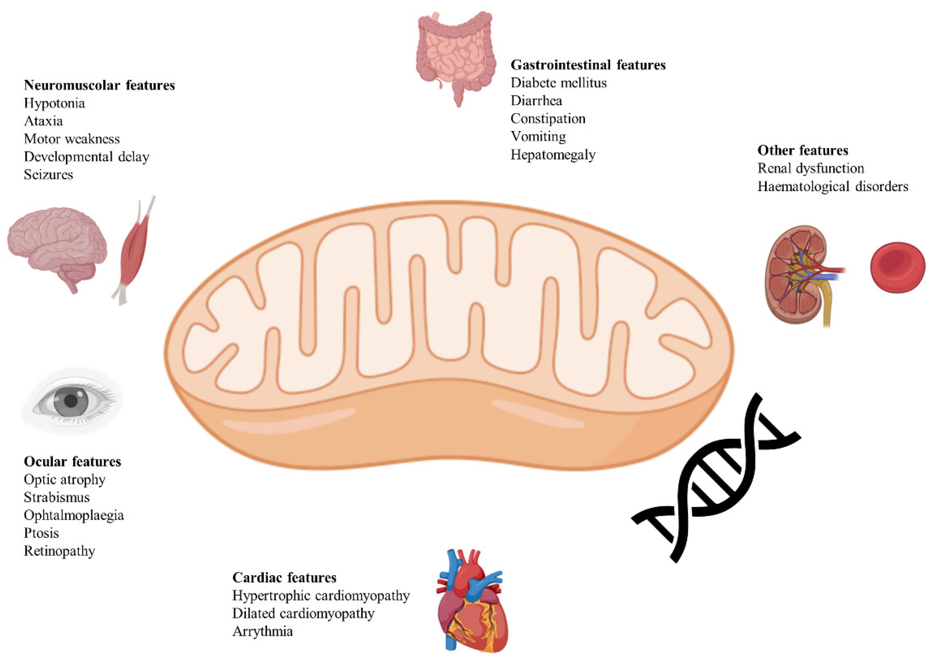 Biomedicines 13 00733 g001