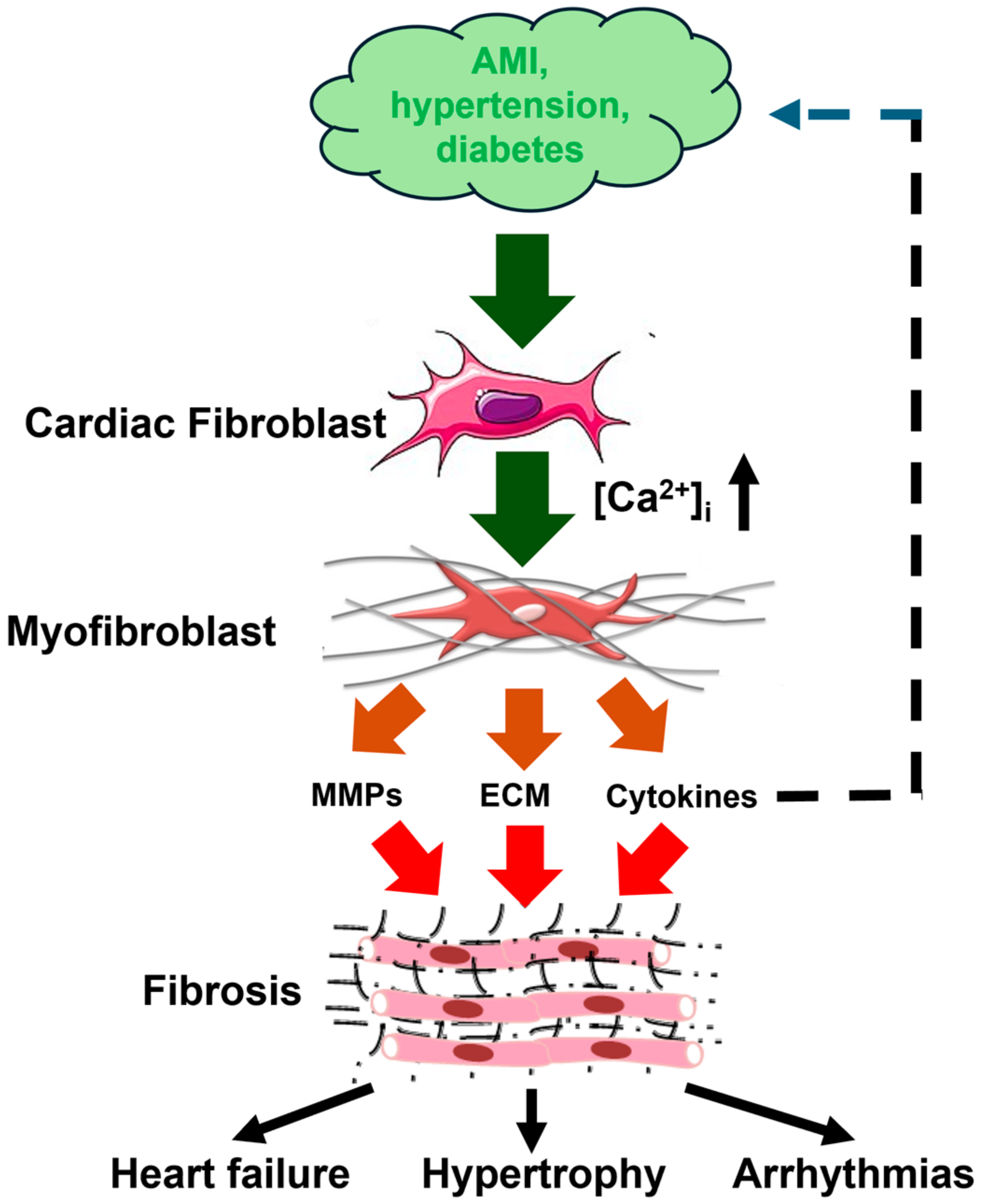 Biomedicines 13 00734 g001