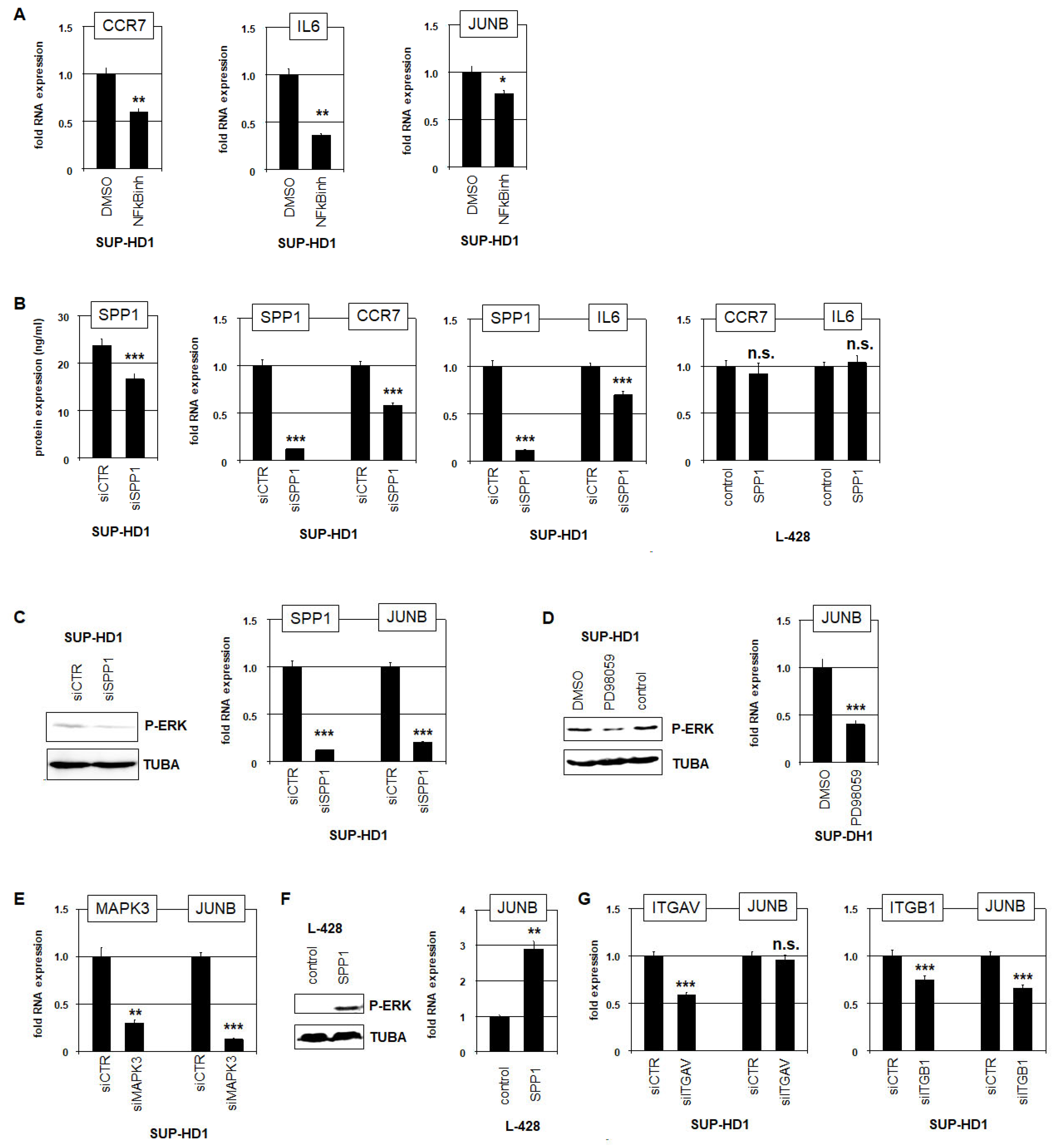 Biomedicines 13 00735 g003