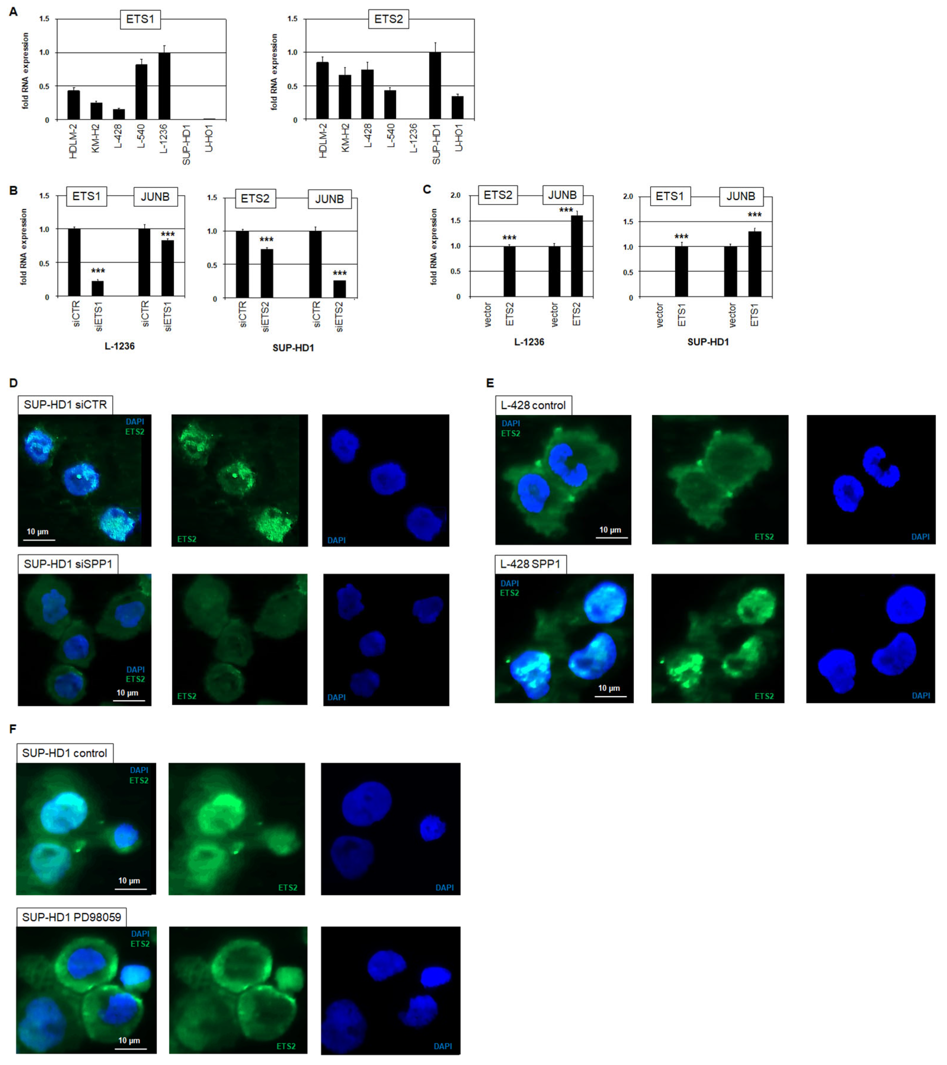 Biomedicines 13 00735 g004