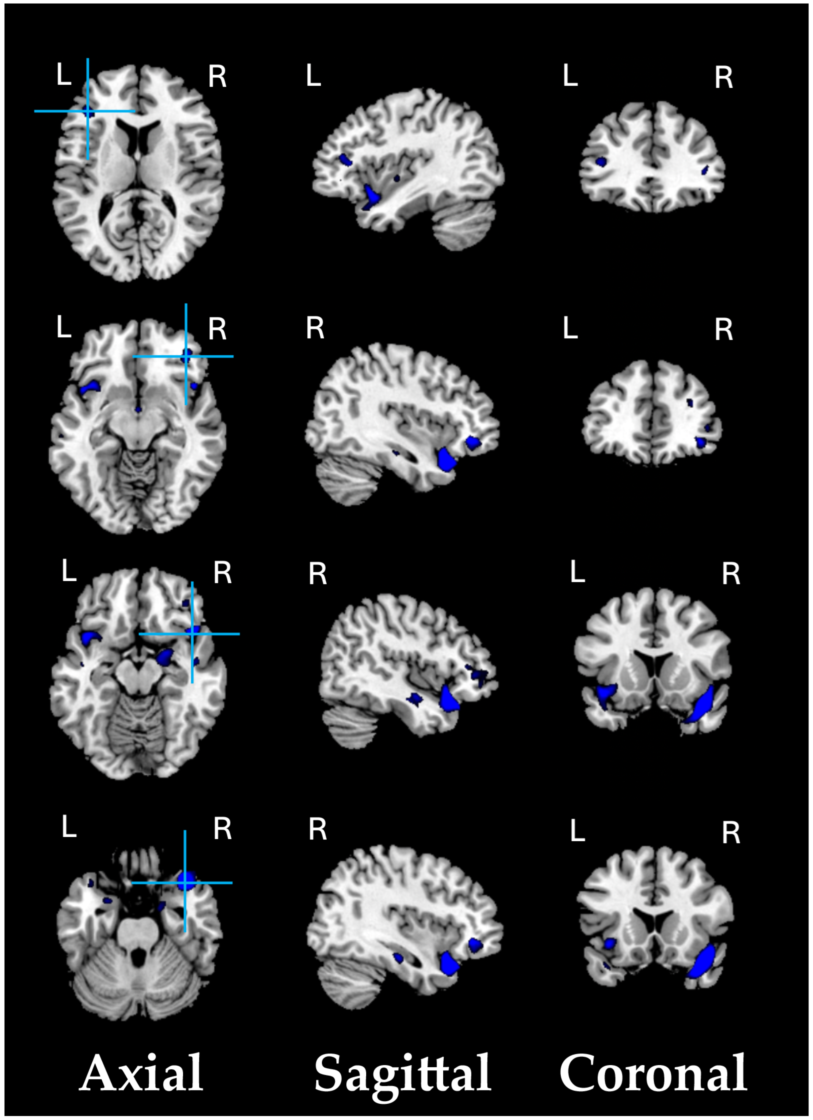 Biomedicines 13 00736 g001
