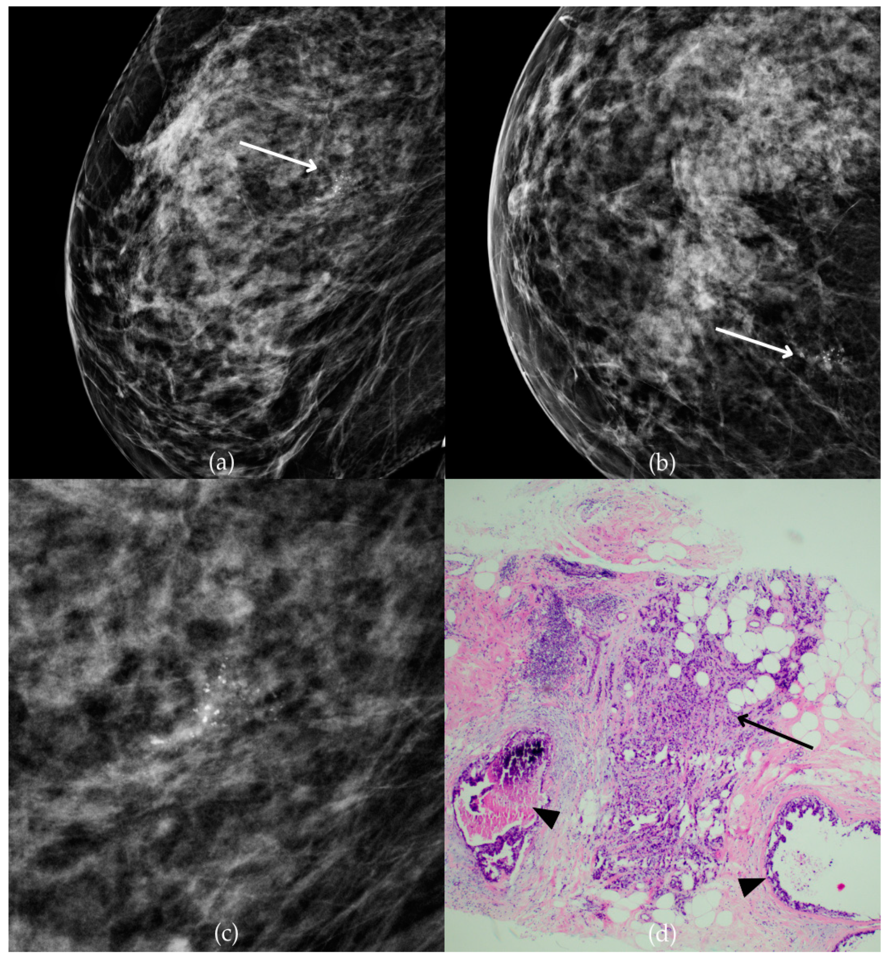 Biomedicines 13 00737 g003