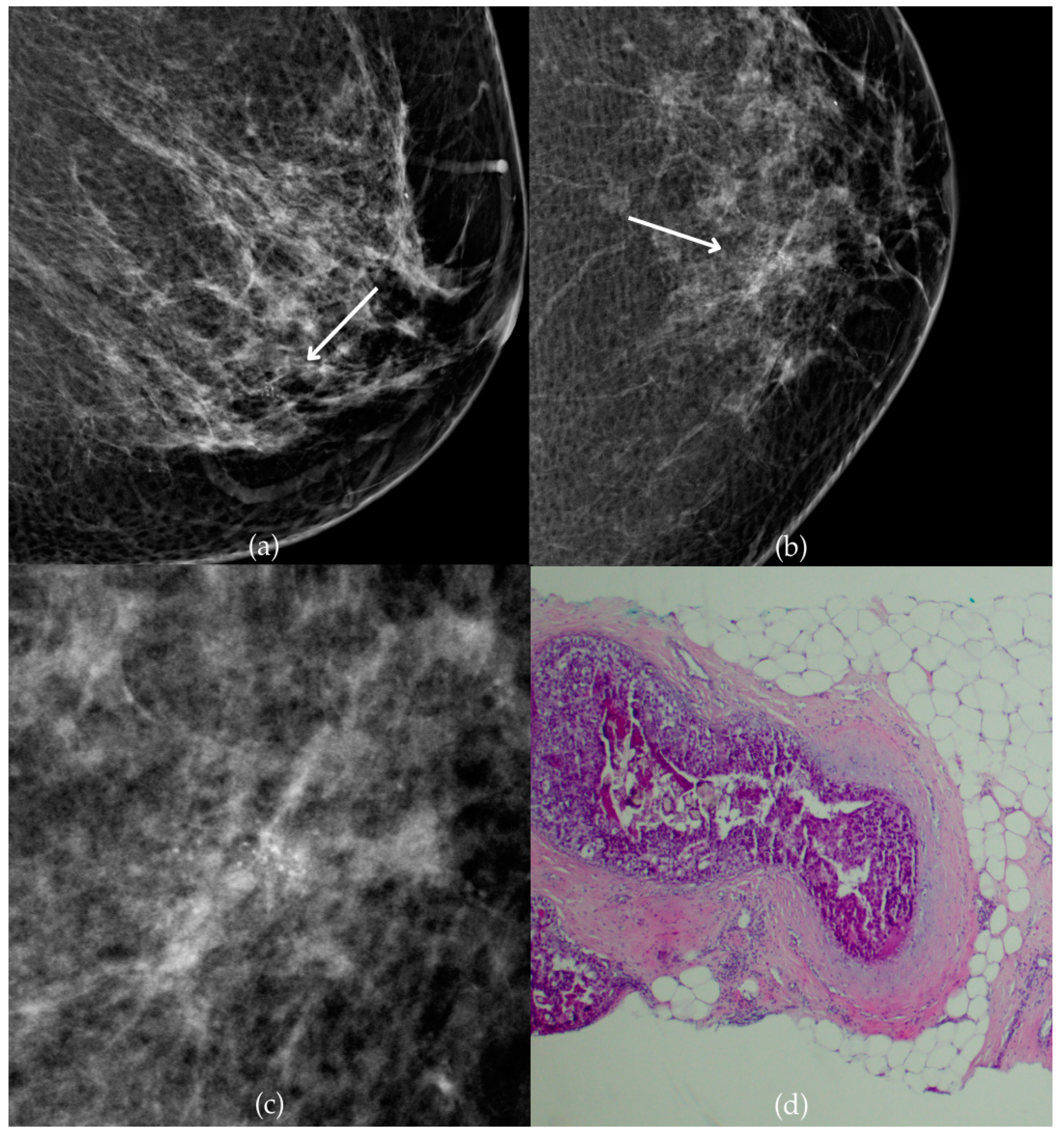 Biomedicines 13 00737 g005