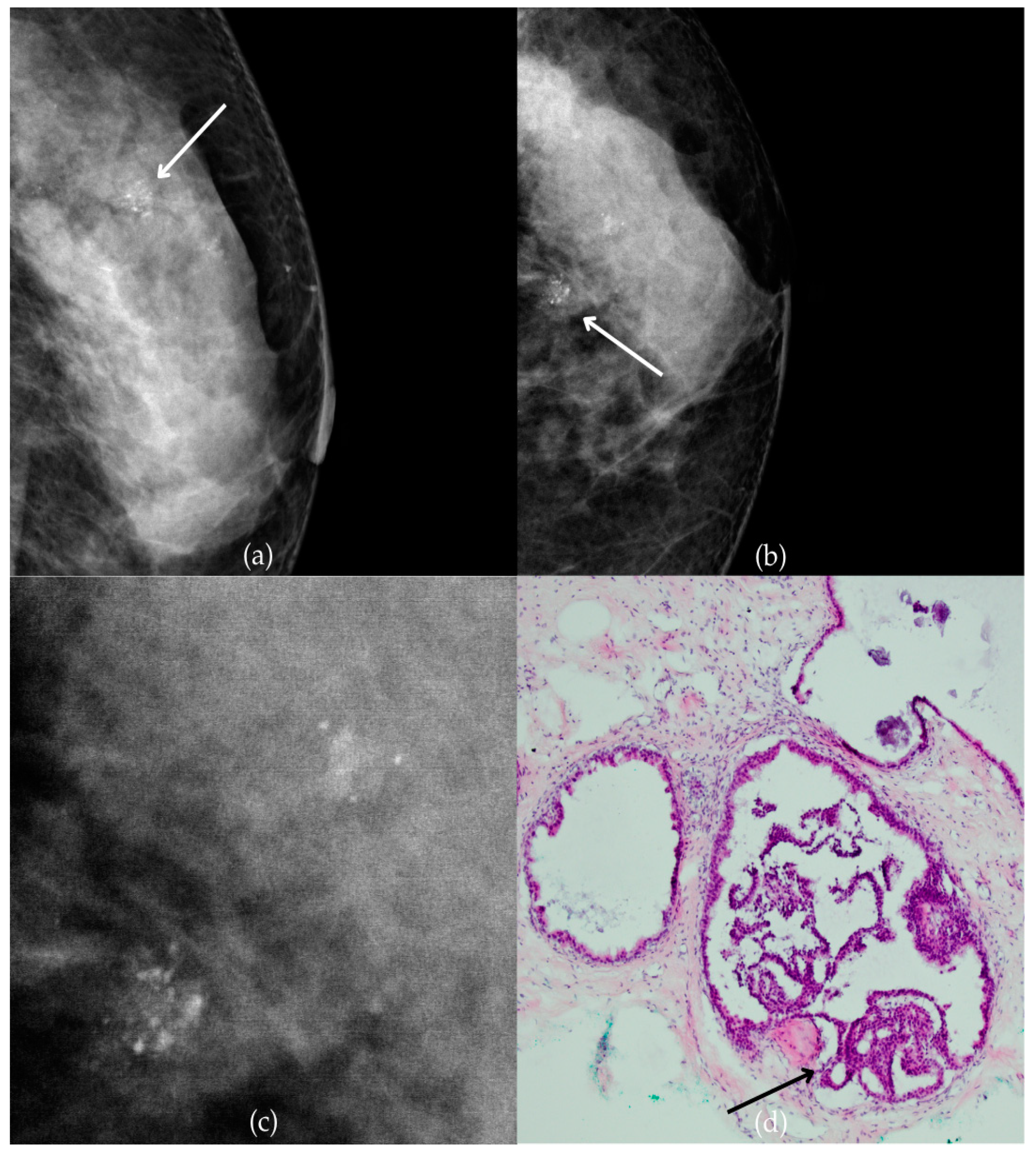 Biomedicines 13 00737 g008