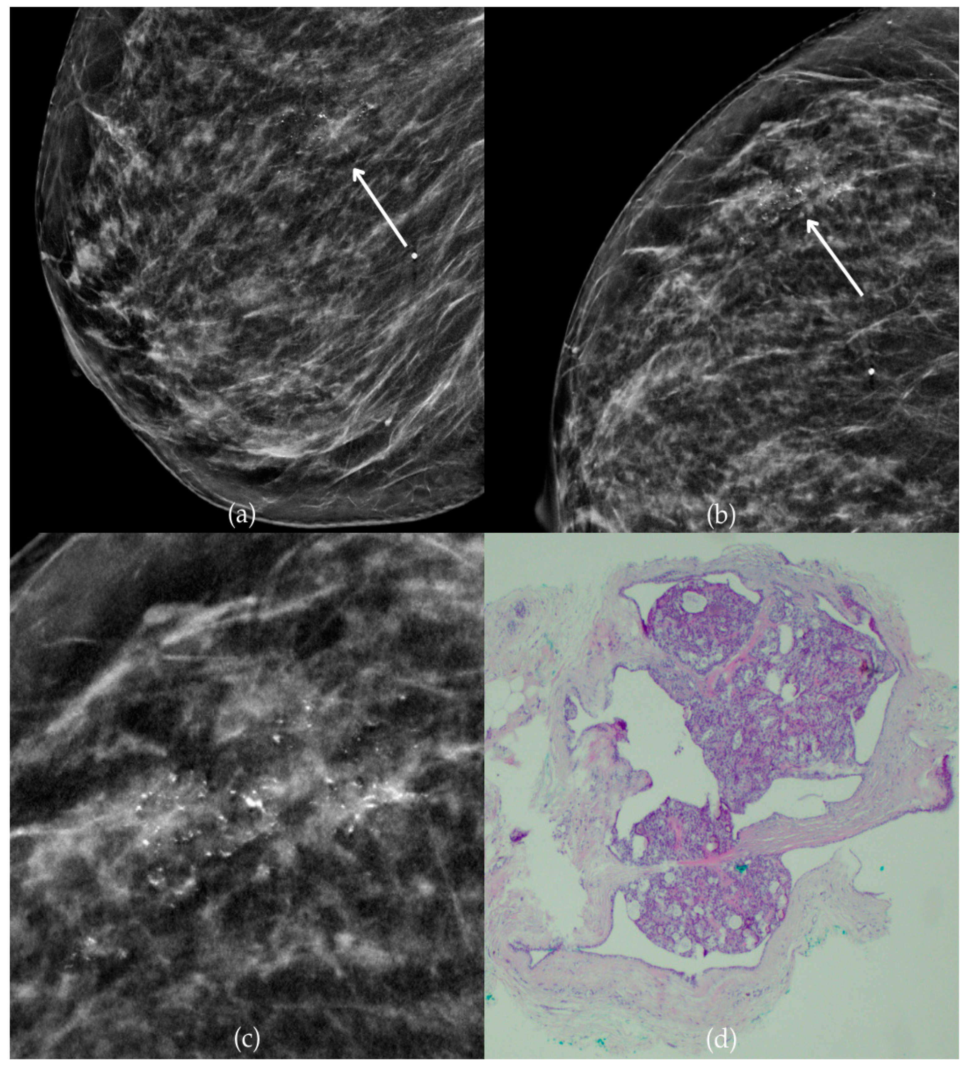 Biomedicines 13 00737 g010