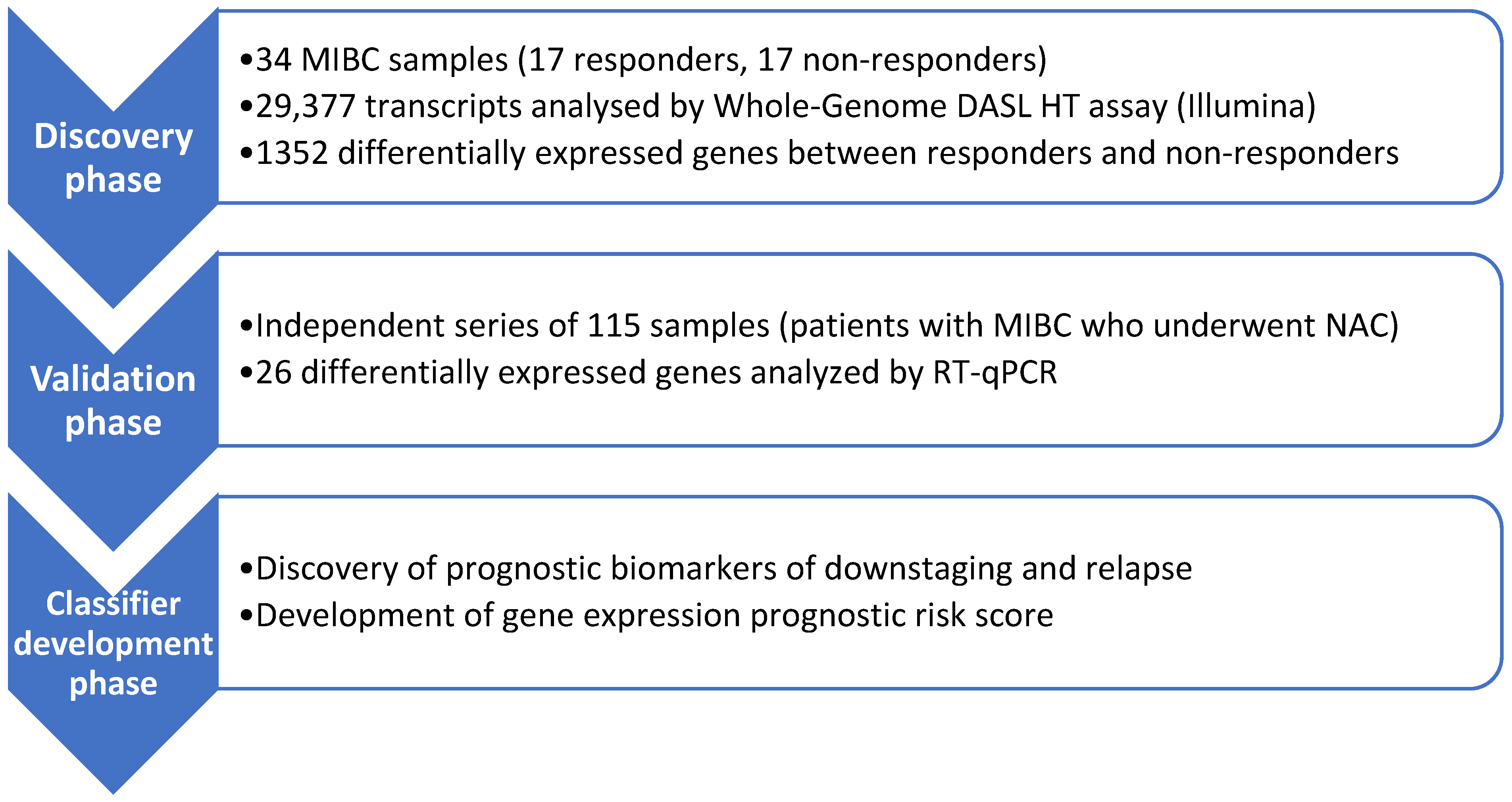 Biomedicines 13 00740 g001