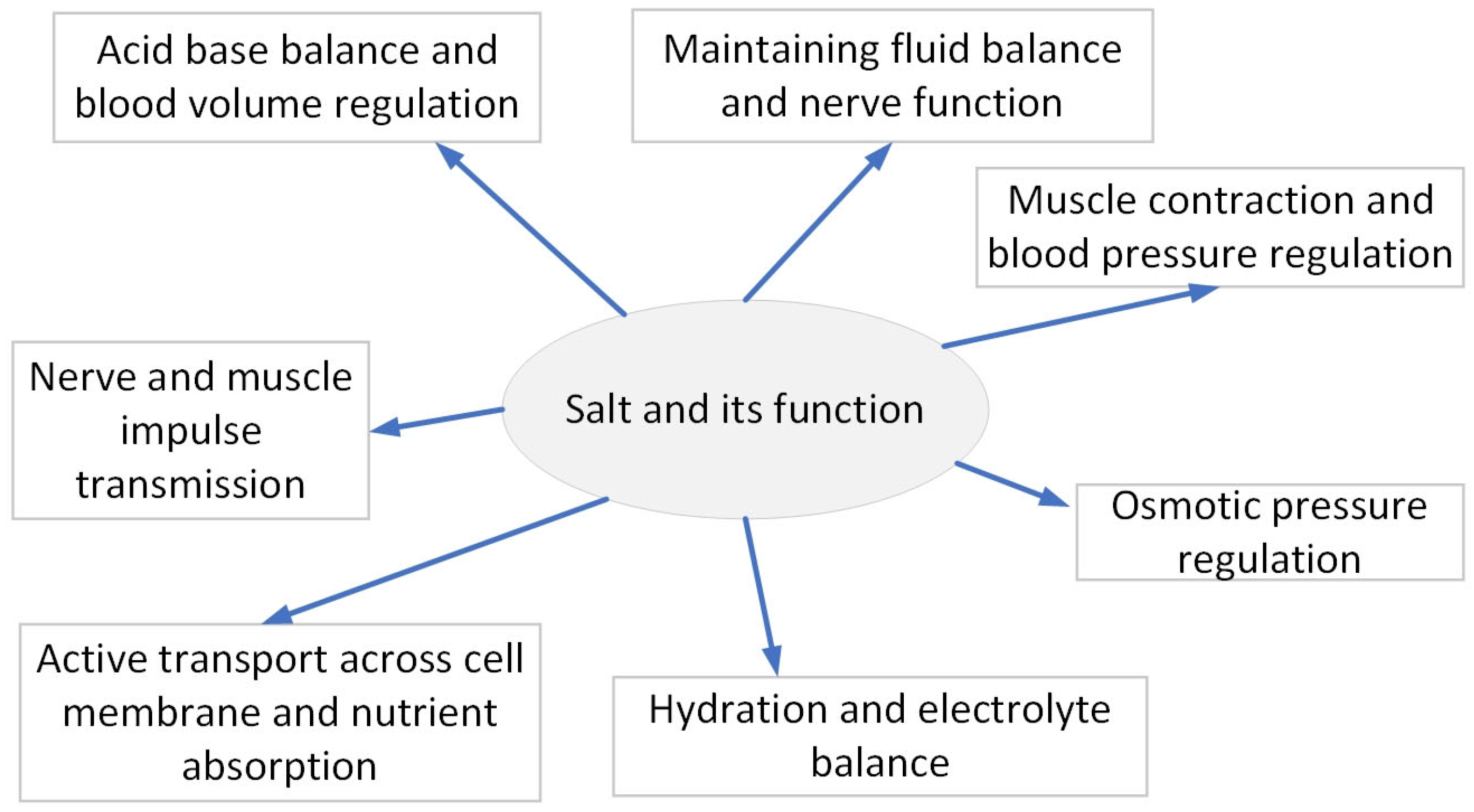 Biomedicines 13 00746 g001