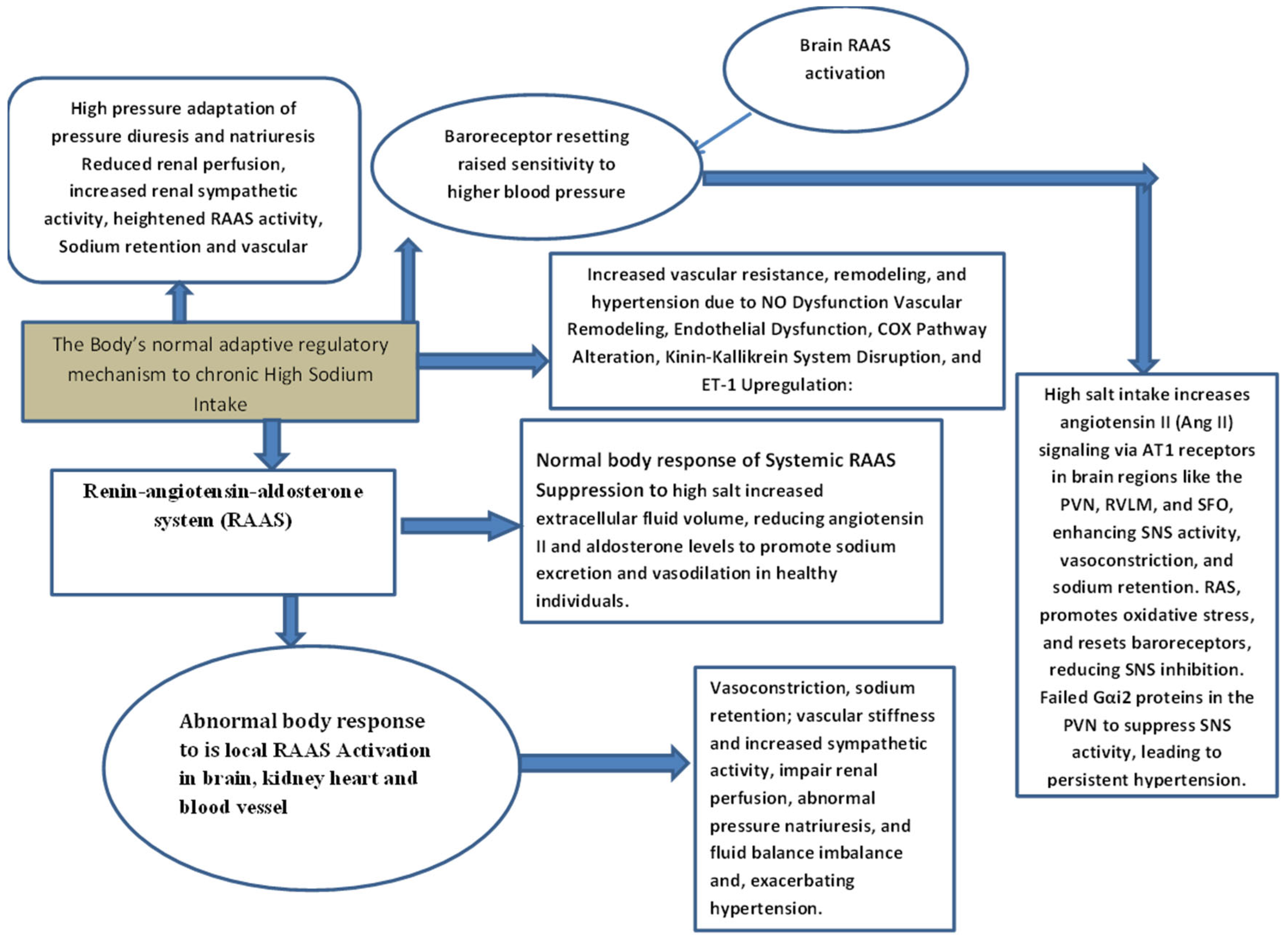 Biomedicines 13 00746 g003
