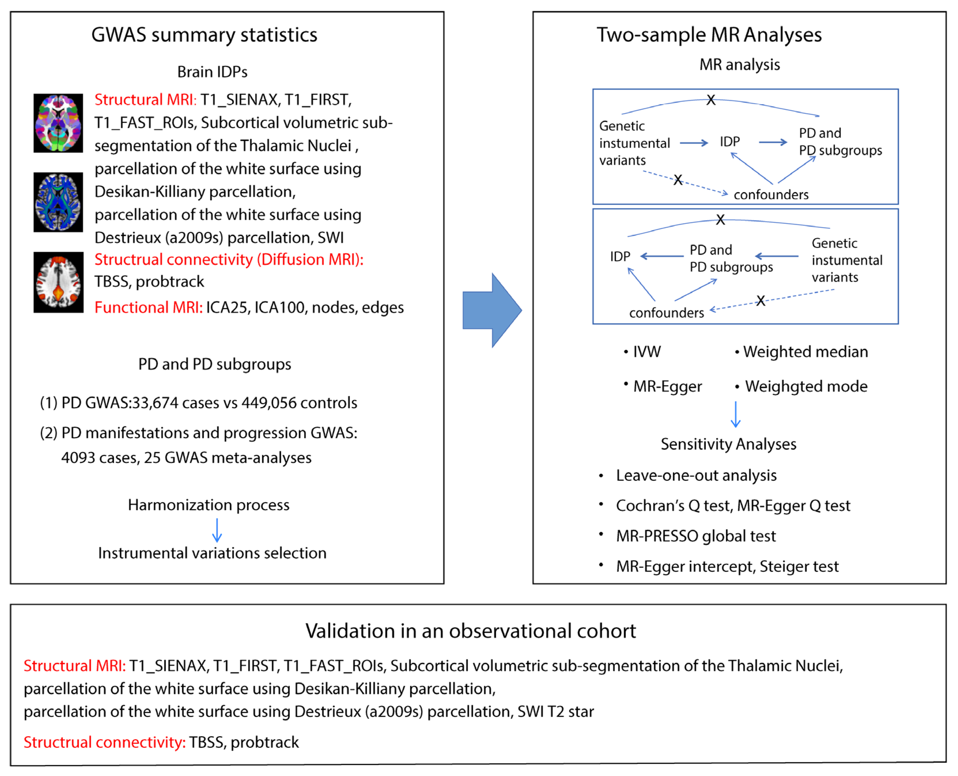 Biomedicines 13 00747 g001