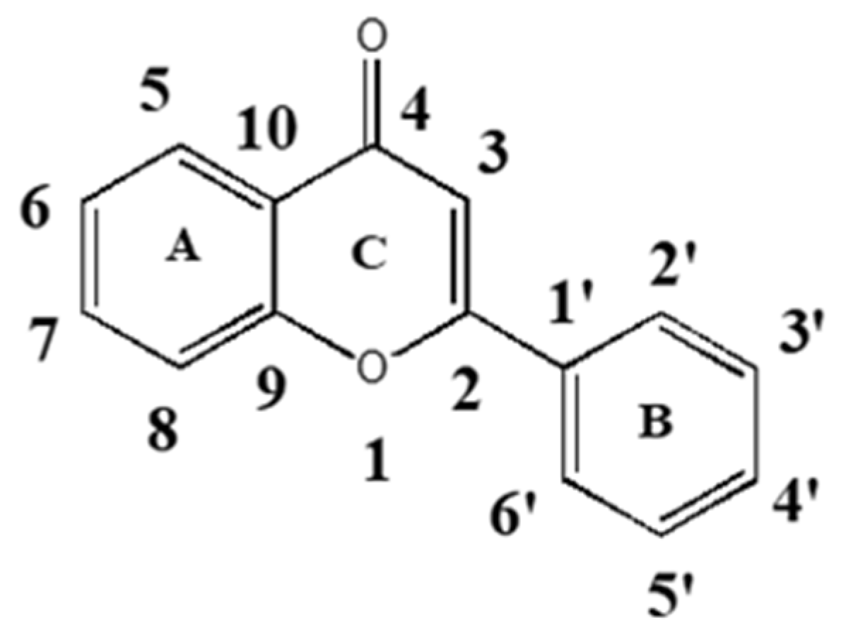 Biomedicines 13 00748 g001