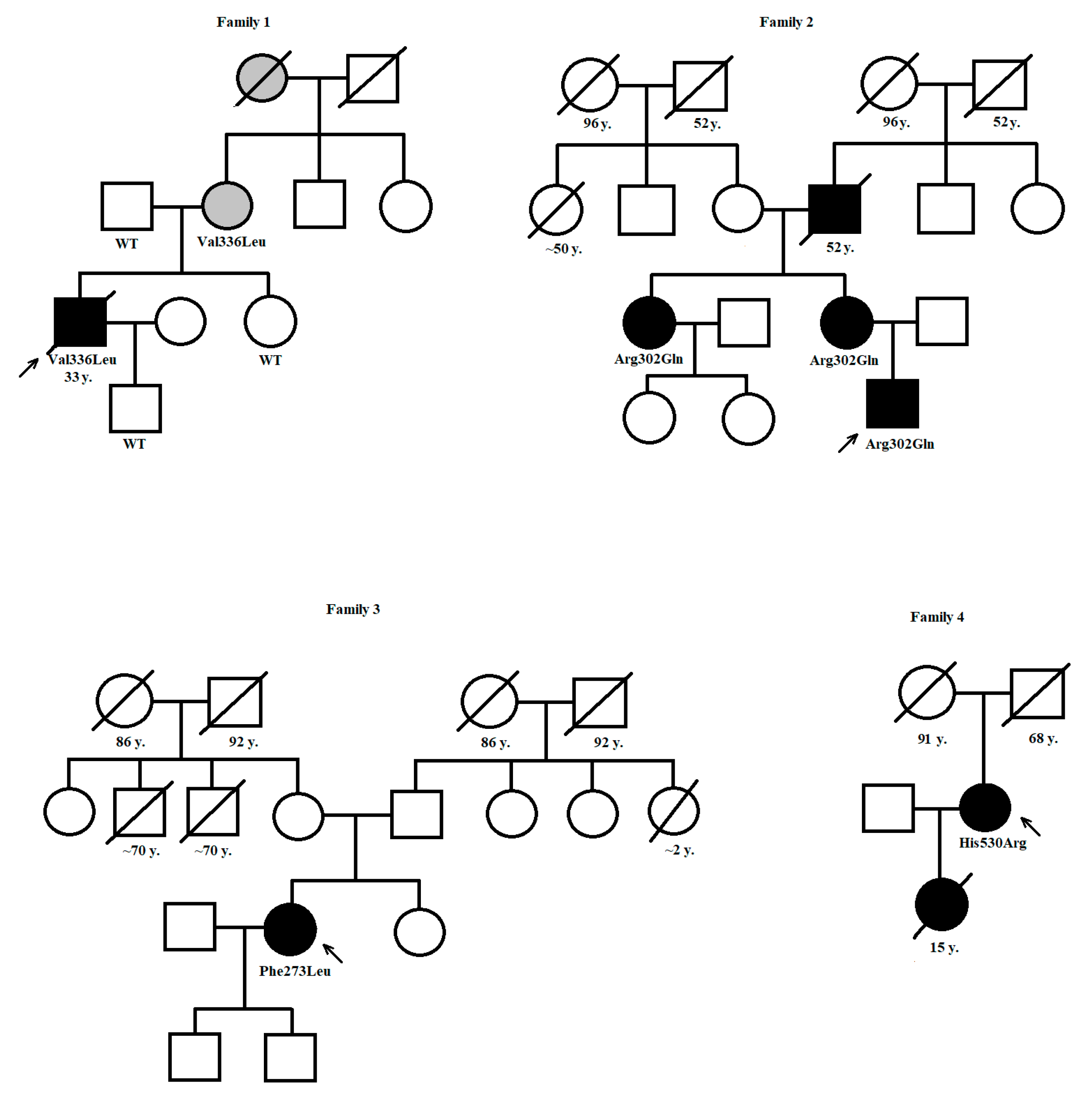 Biomedicines 13 00751 g001
