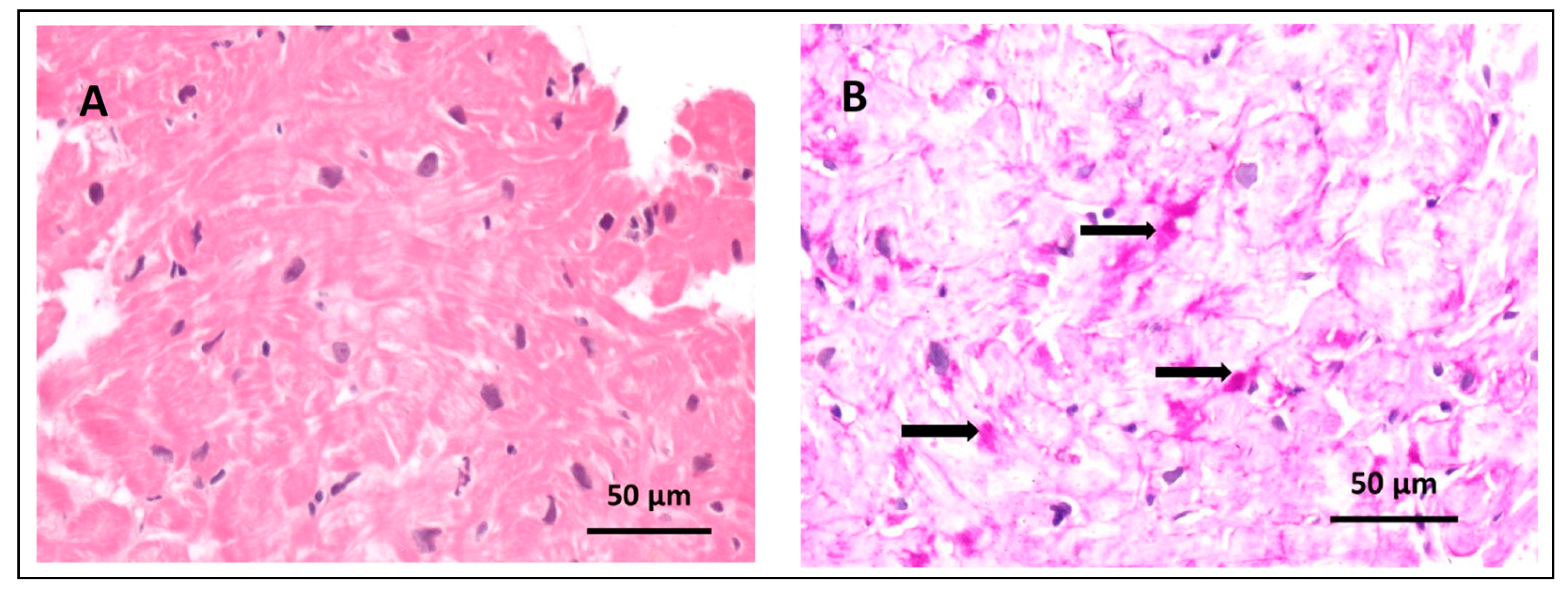 Biomedicines 13 00751 g003