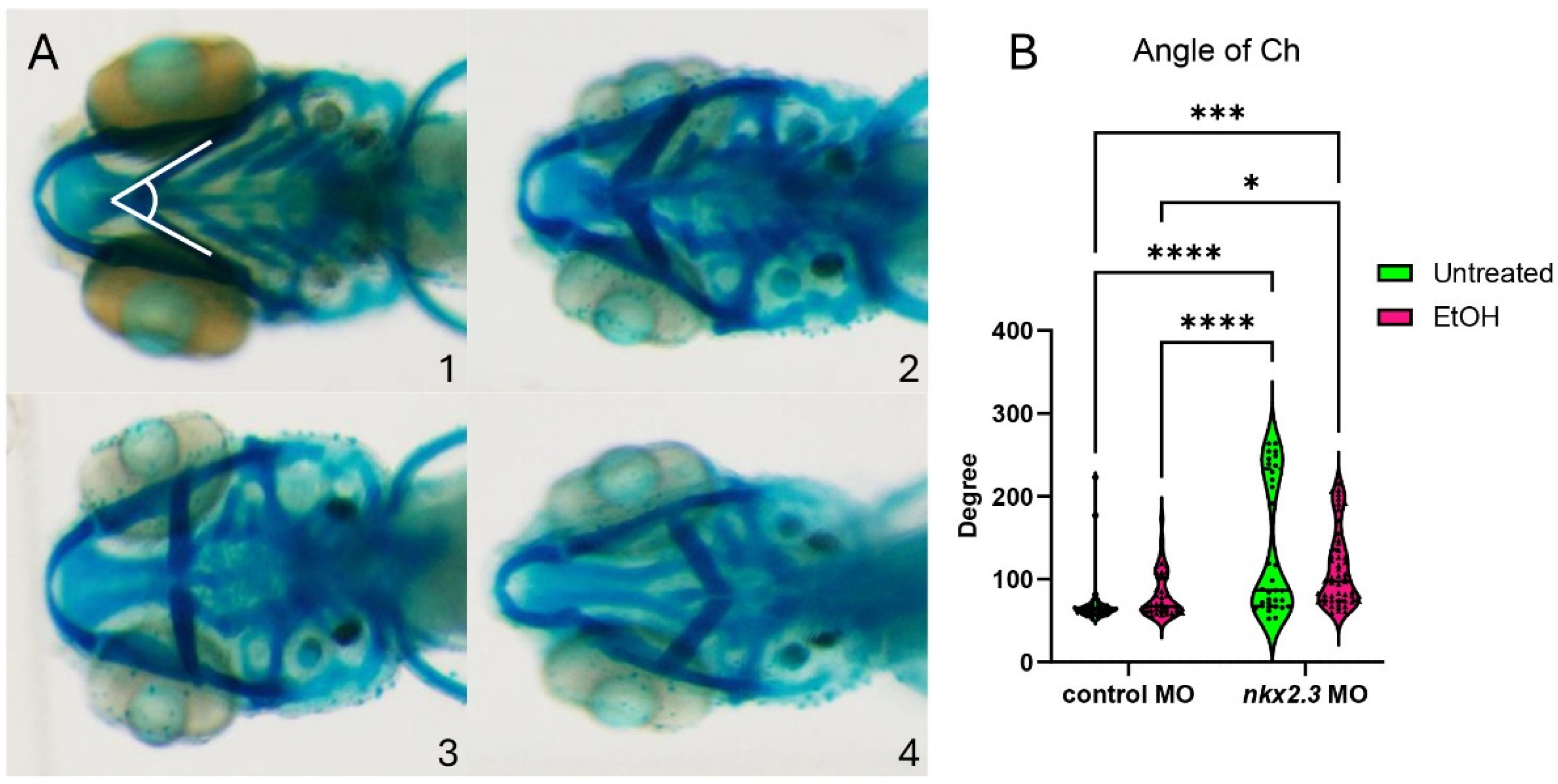 Biomedicines 13 00755 g003