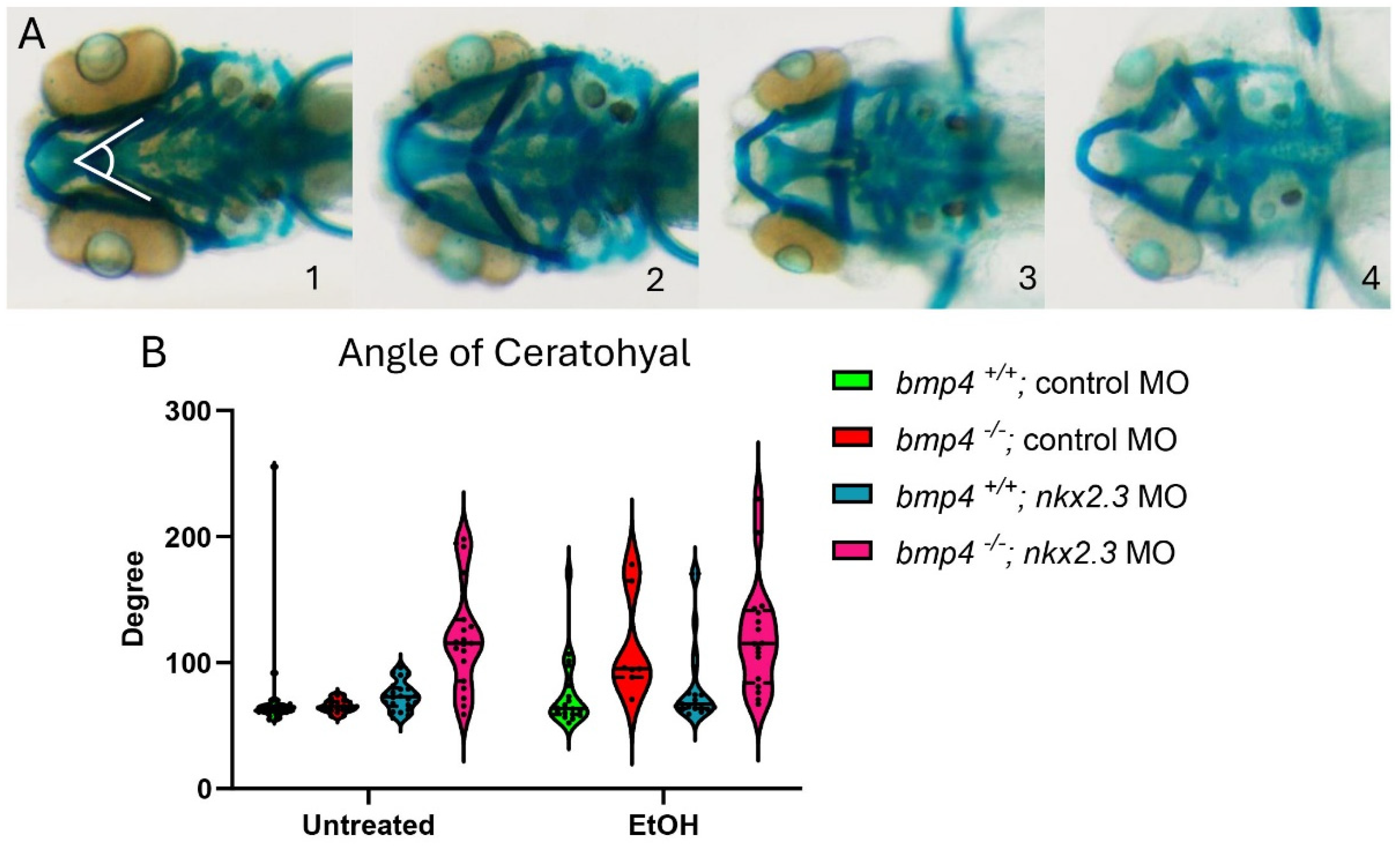Biomedicines 13 00755 g004