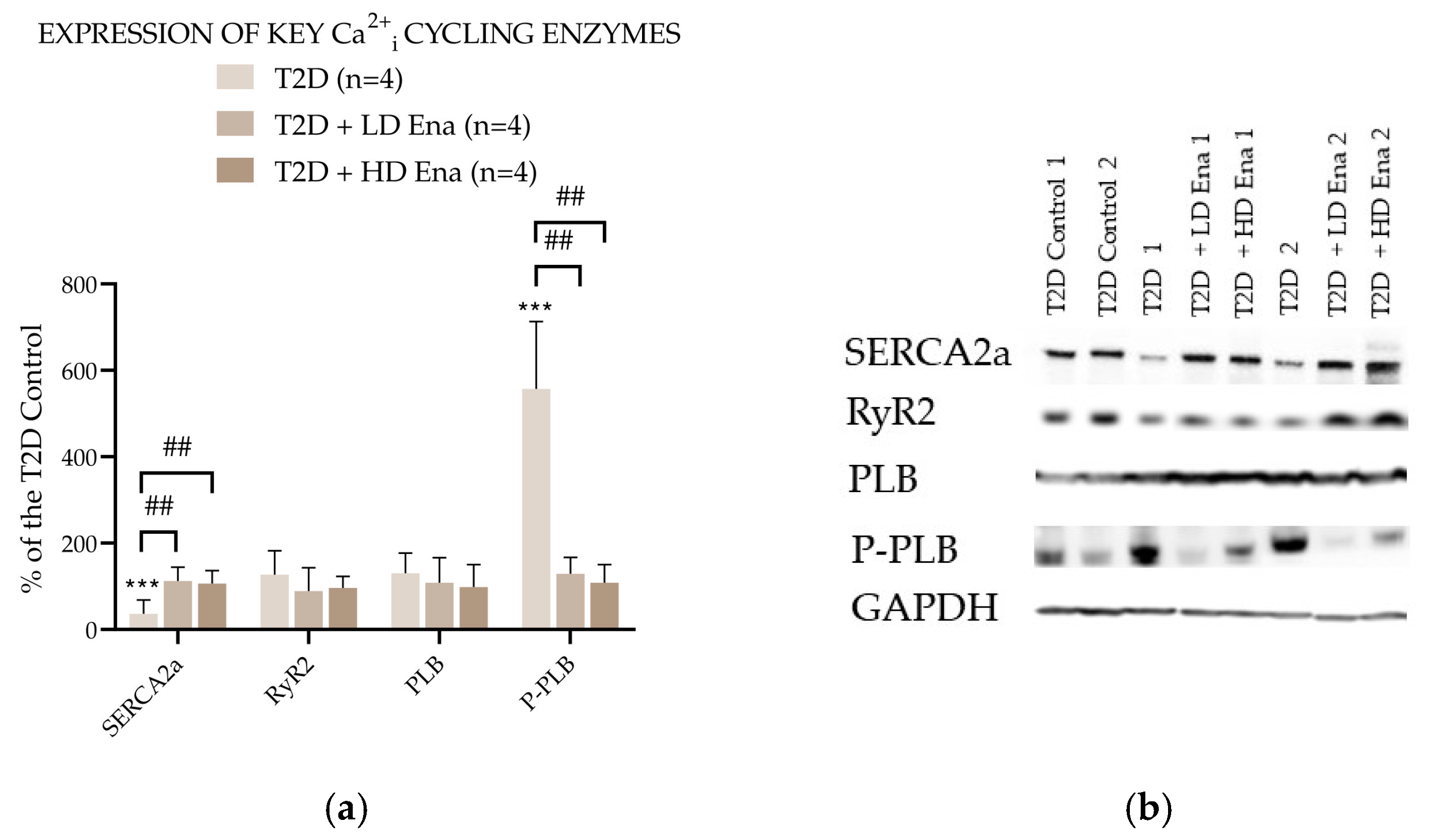 Biomedicines 13 00757 g005