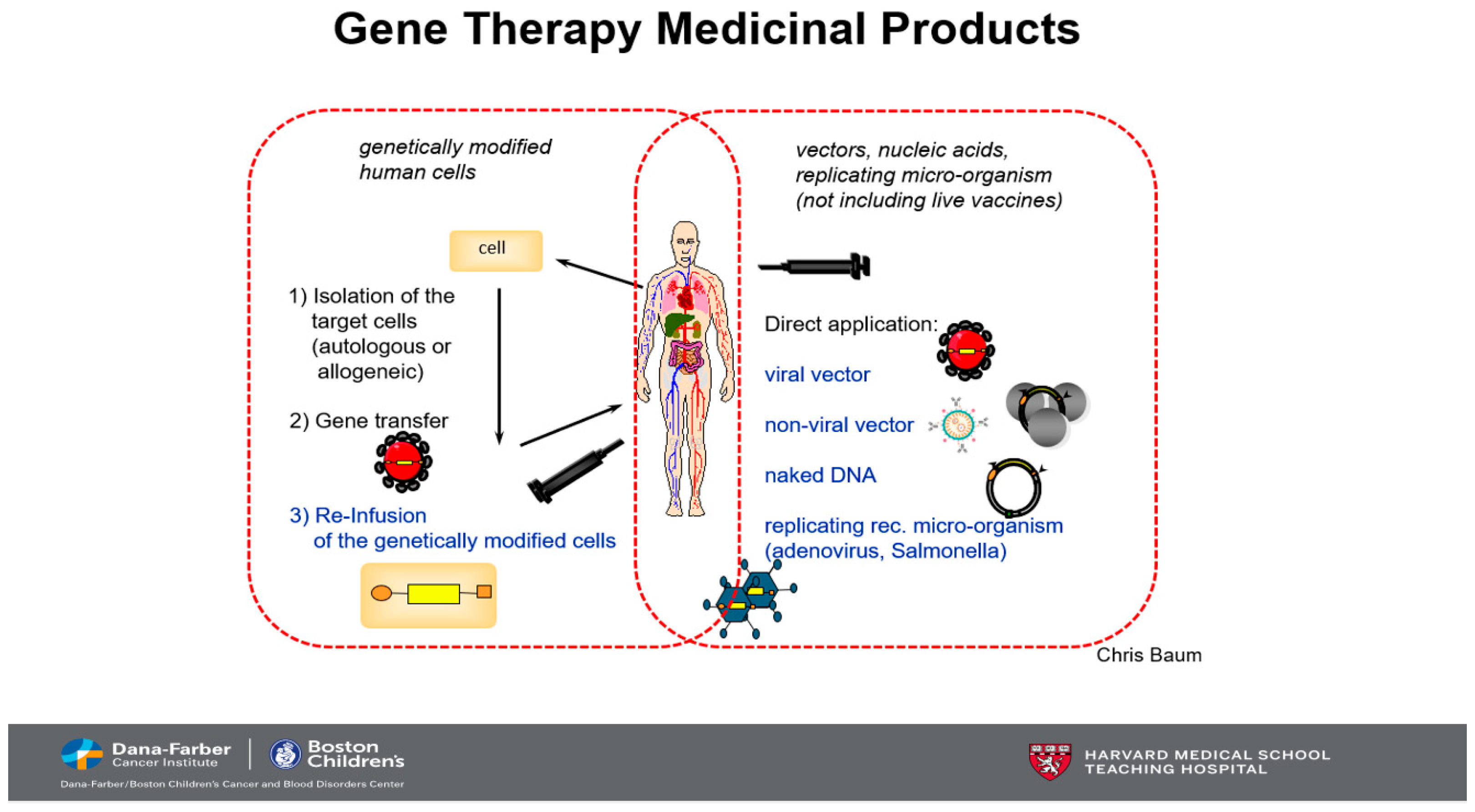 Biomedicines 13 00758 g001