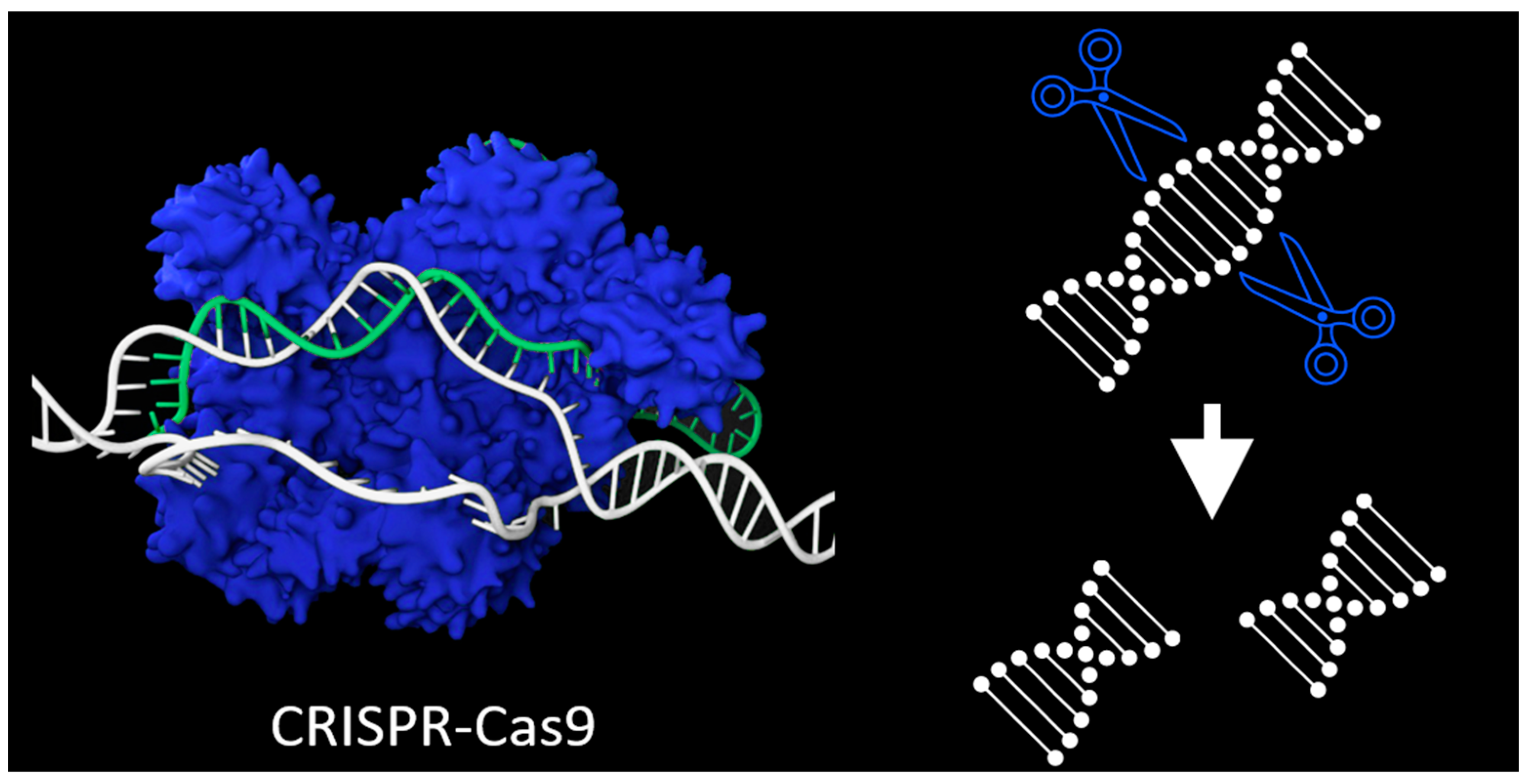 Biomedicines 13 00758 g002
