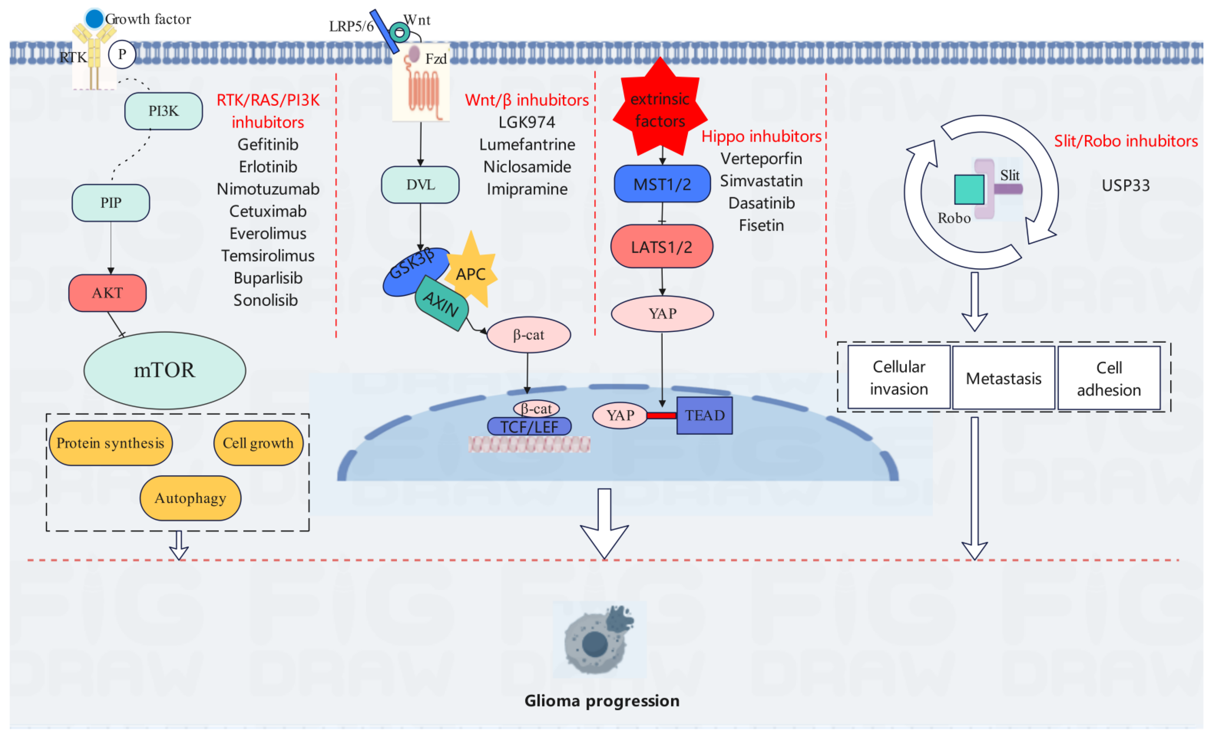 Biomedicines 13 00759 g001