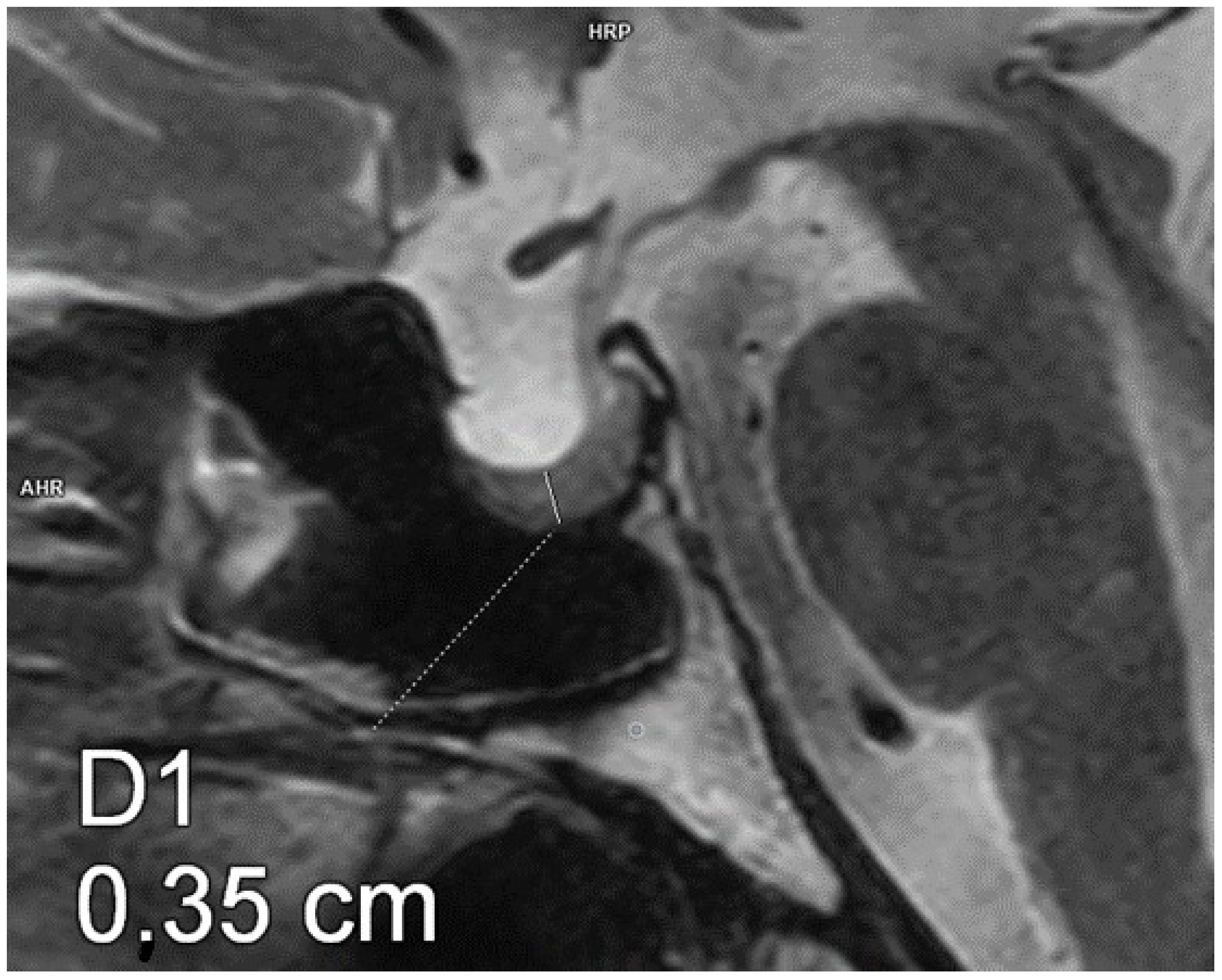 Biomedicines 13 00762 g002