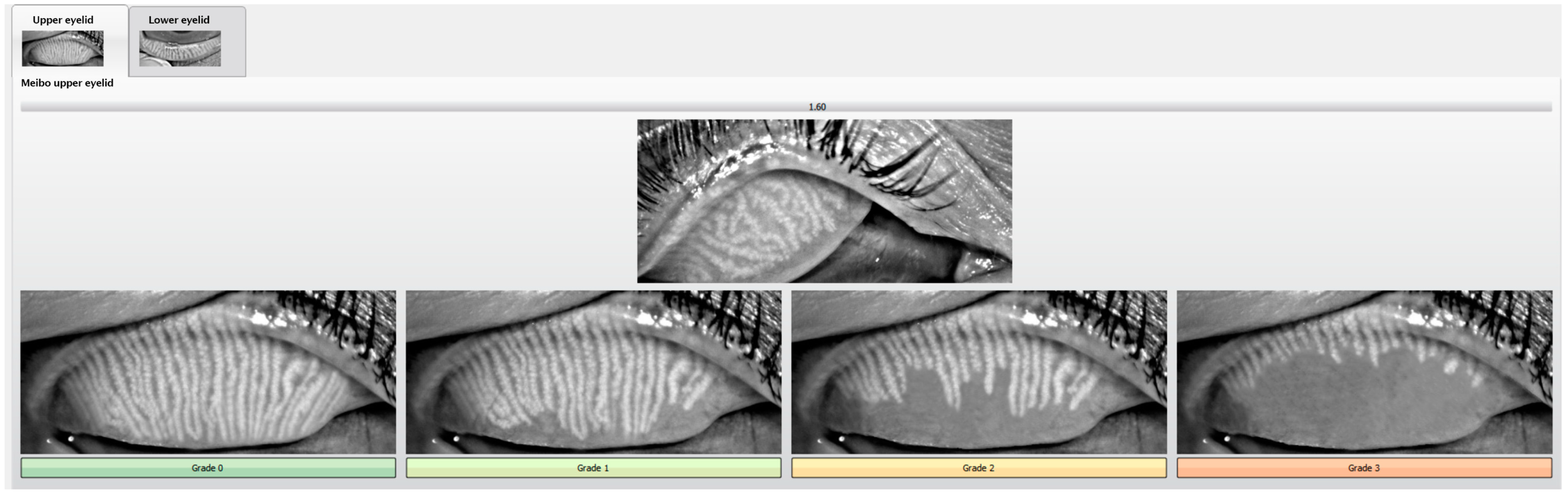 Biomedicines 13 00763 g001