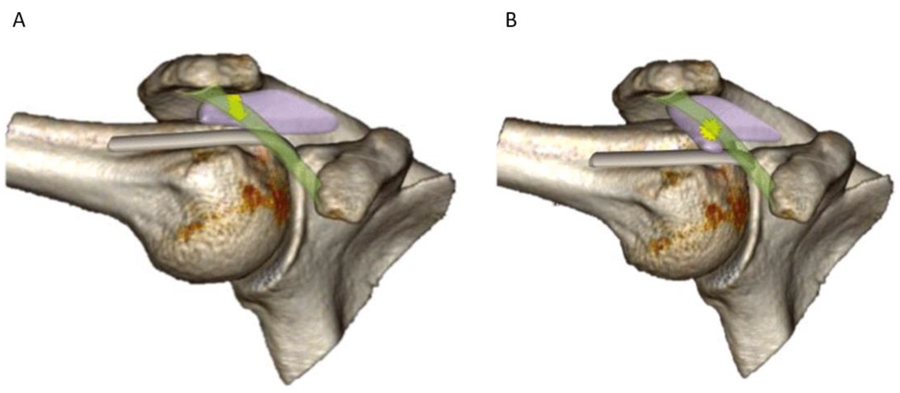 Biomedicines 13 00766 g002